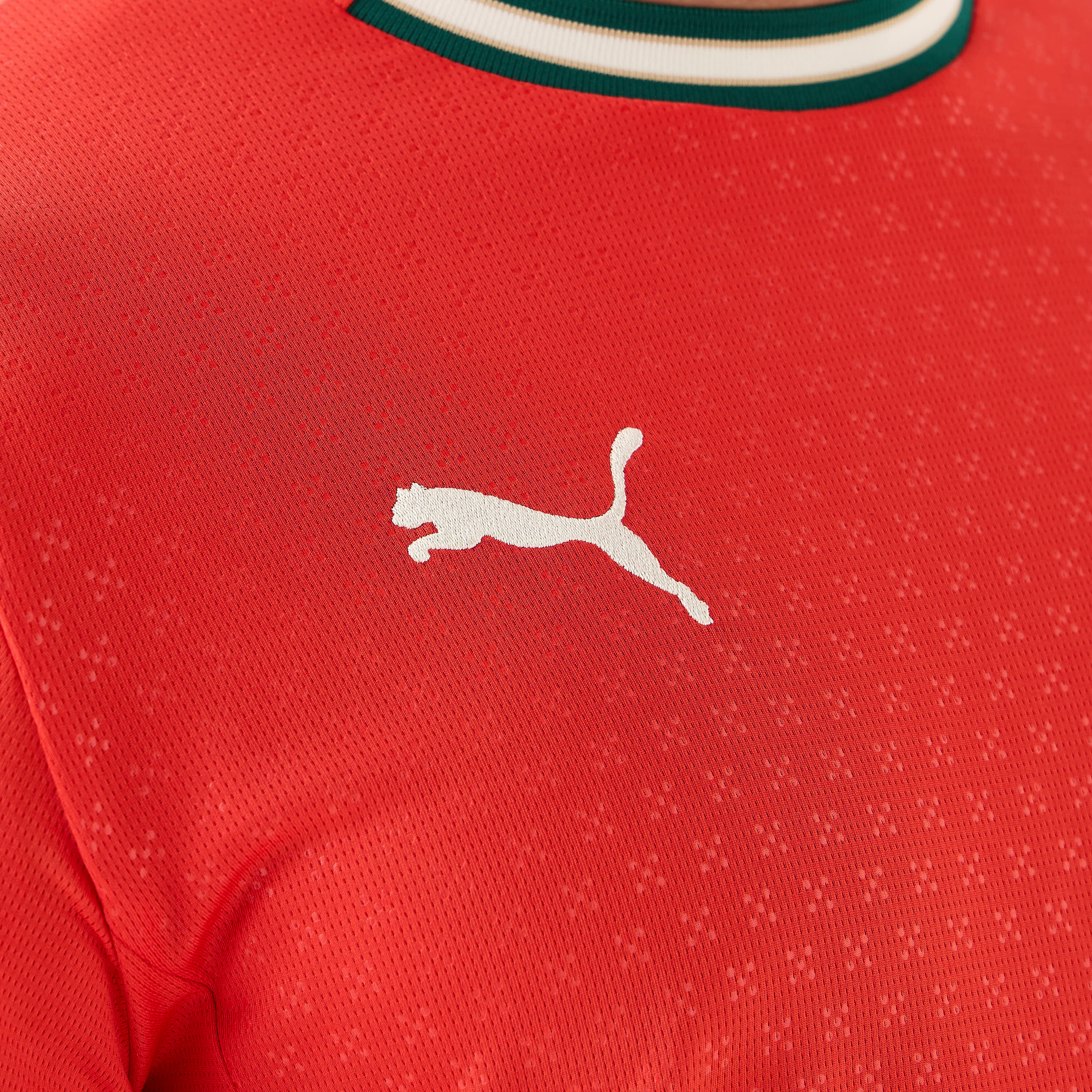 Puma Men's Portugal Home Jersey 779190 | OE-men-clothing-sportswearandactivewear-tshirtsandpolos-image-5