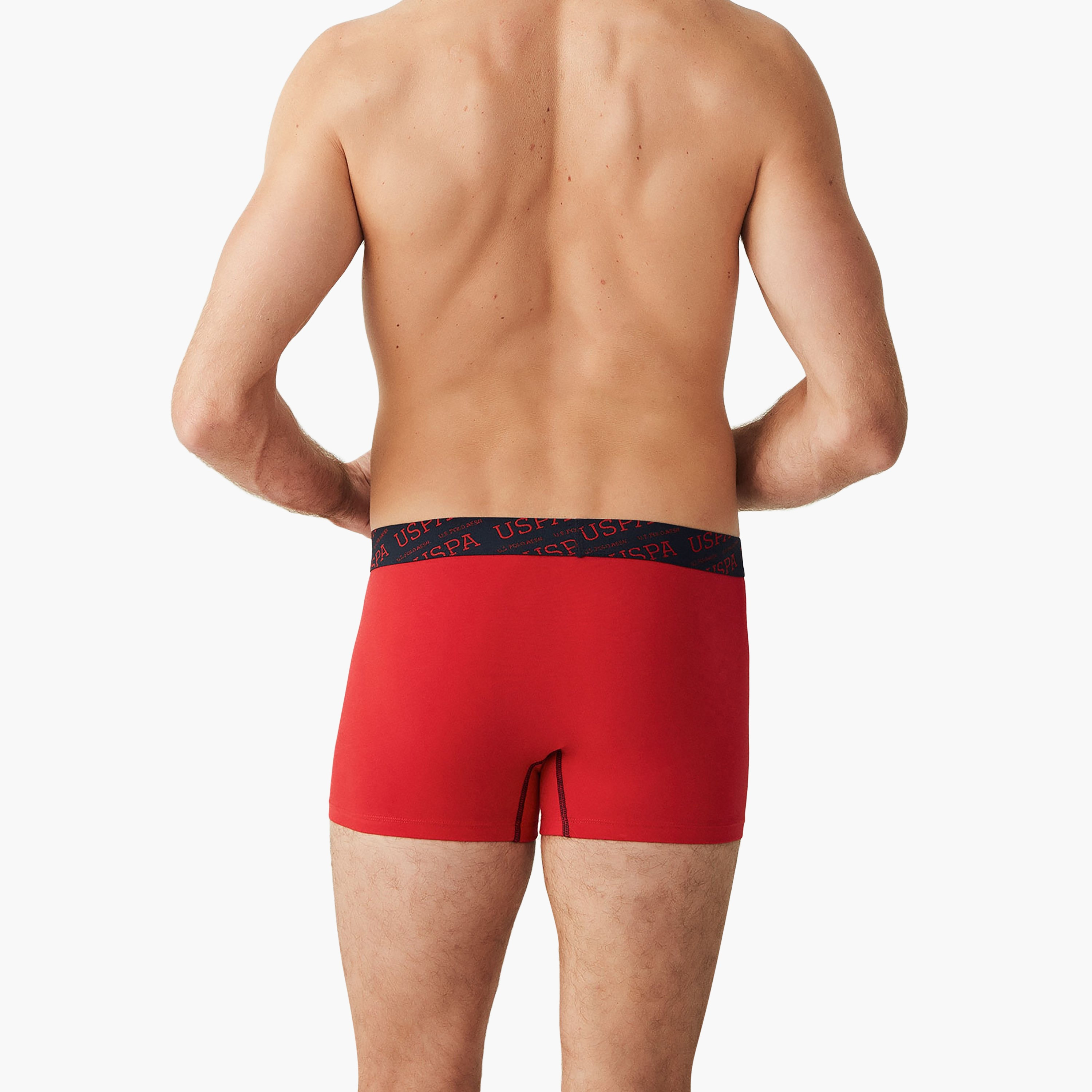 مجموعة من 3 سراويل داخلية رجالية متعددة الألوان من يو اس بولو أسسن-men-clothing-innerwear-underwear-image-3