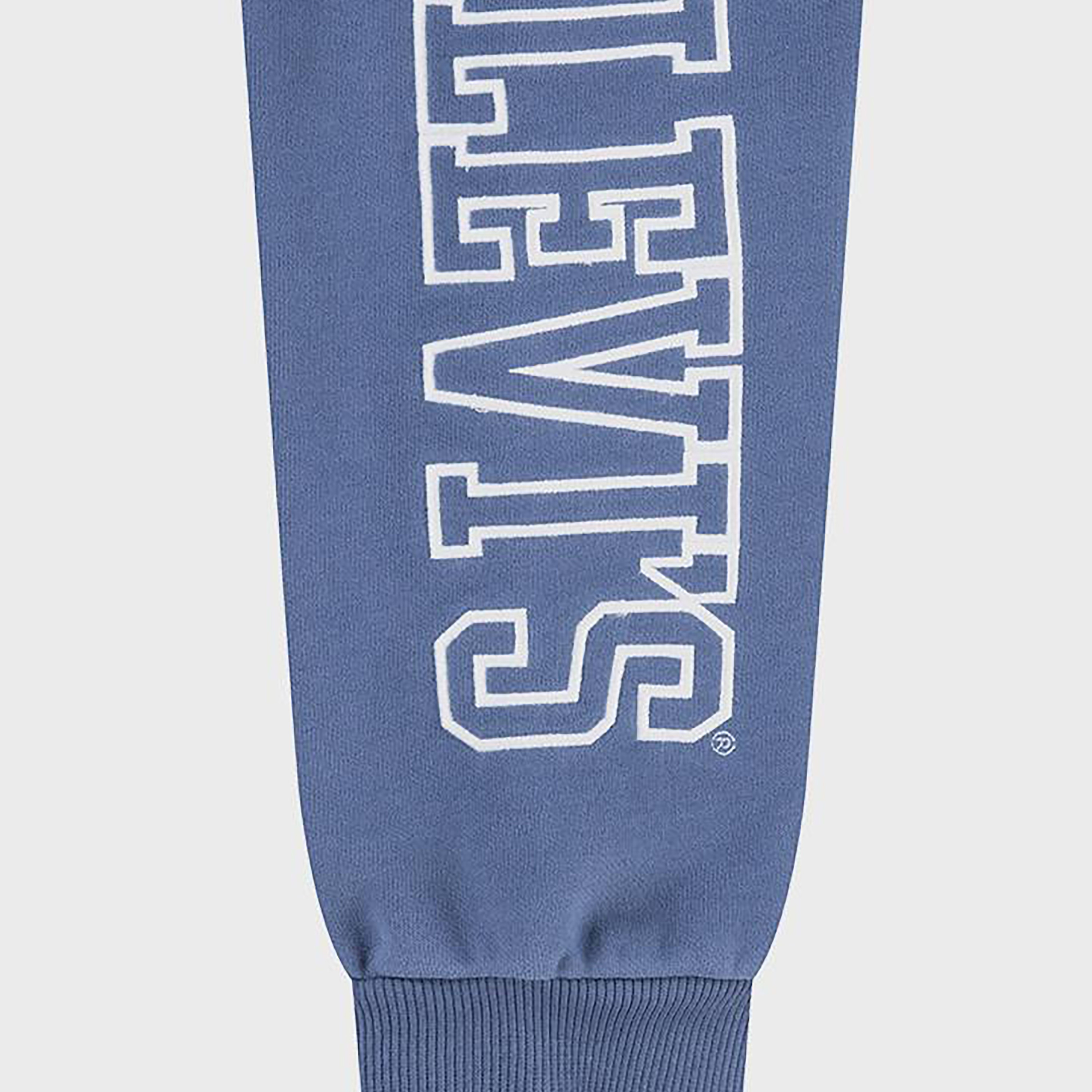 Levi's Printed Elasticated Joggers-boys-clothing-bottoms-joggersandtrackpants-image-2