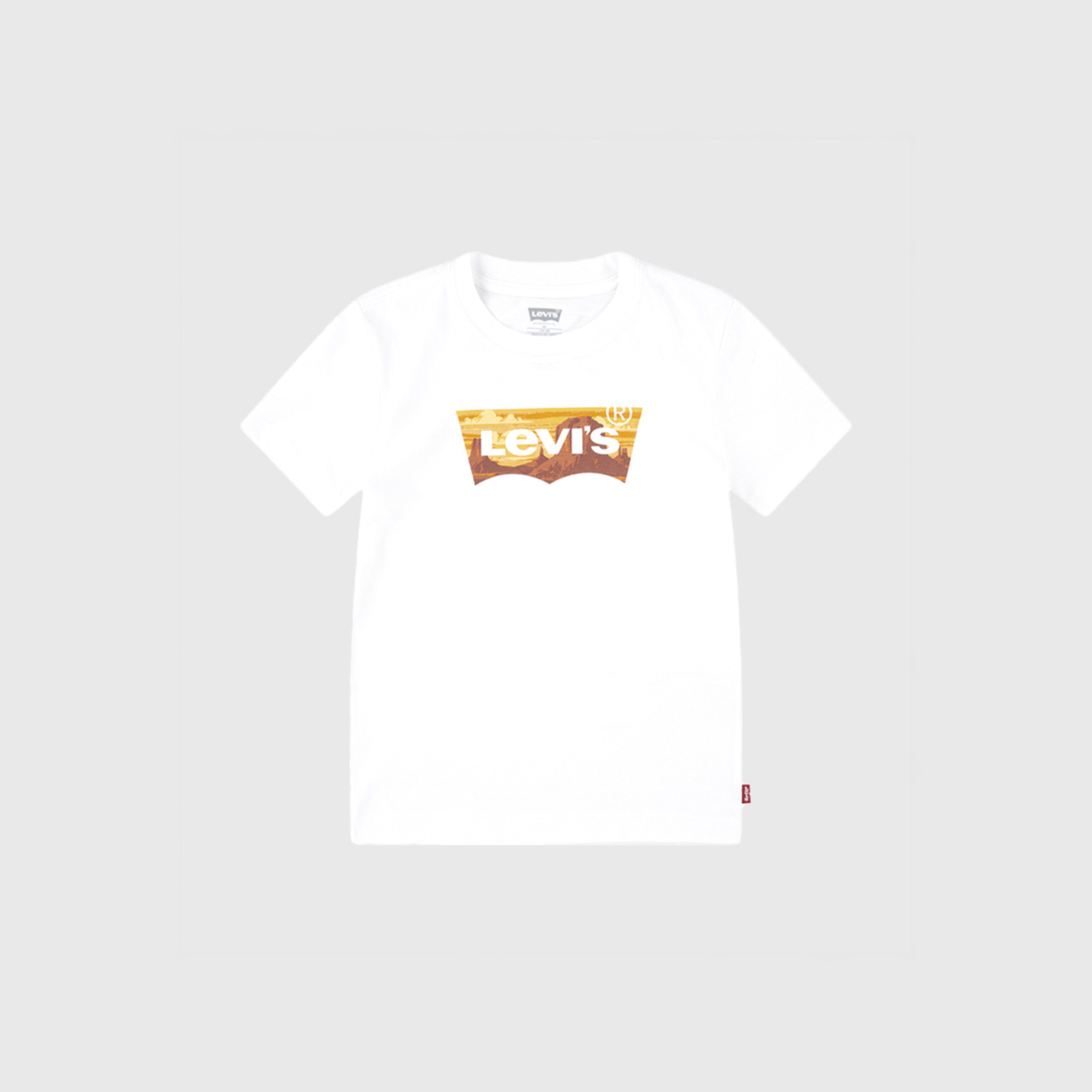 Levi's Printed Short Sleeves T-Shirt-boys-clothing-tshirtsandpolos-image-1