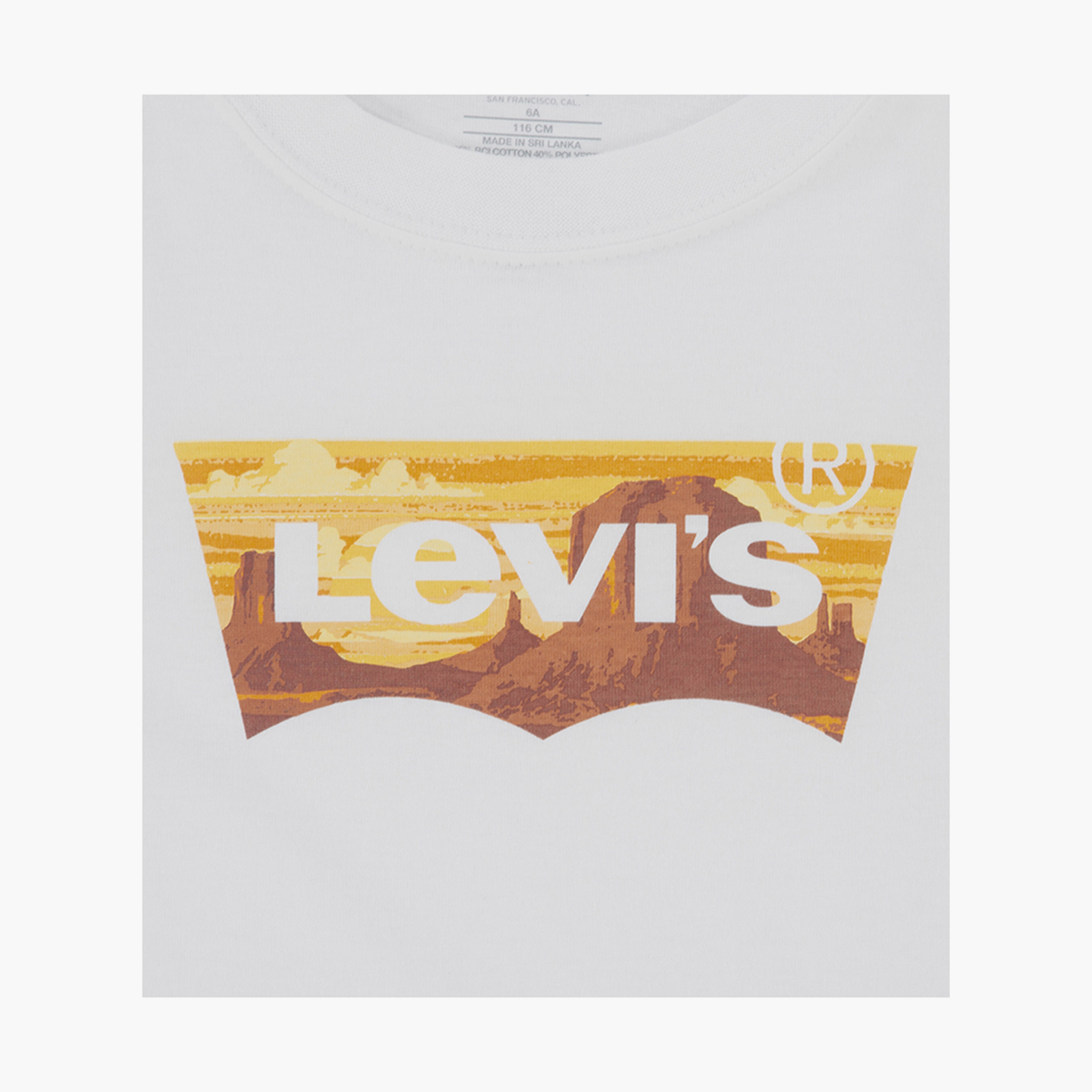 Levi's Printed Short Sleeves T-Shirt-boys-clothing-tshirtsandpolos-image-3