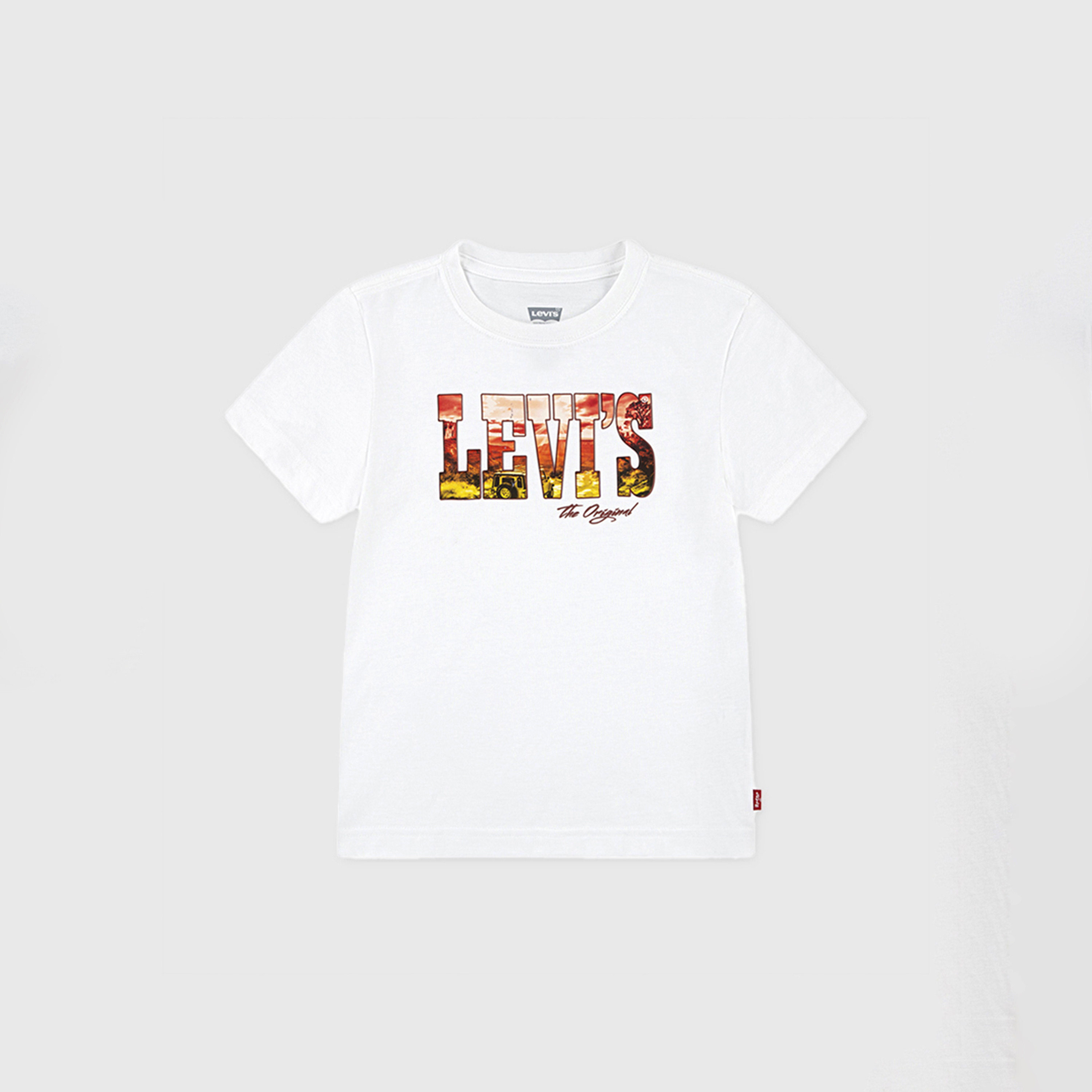 Levi's Printed Short Sleeves T-Shirt-boys-clothing-tshirtsandpolos-image-1
