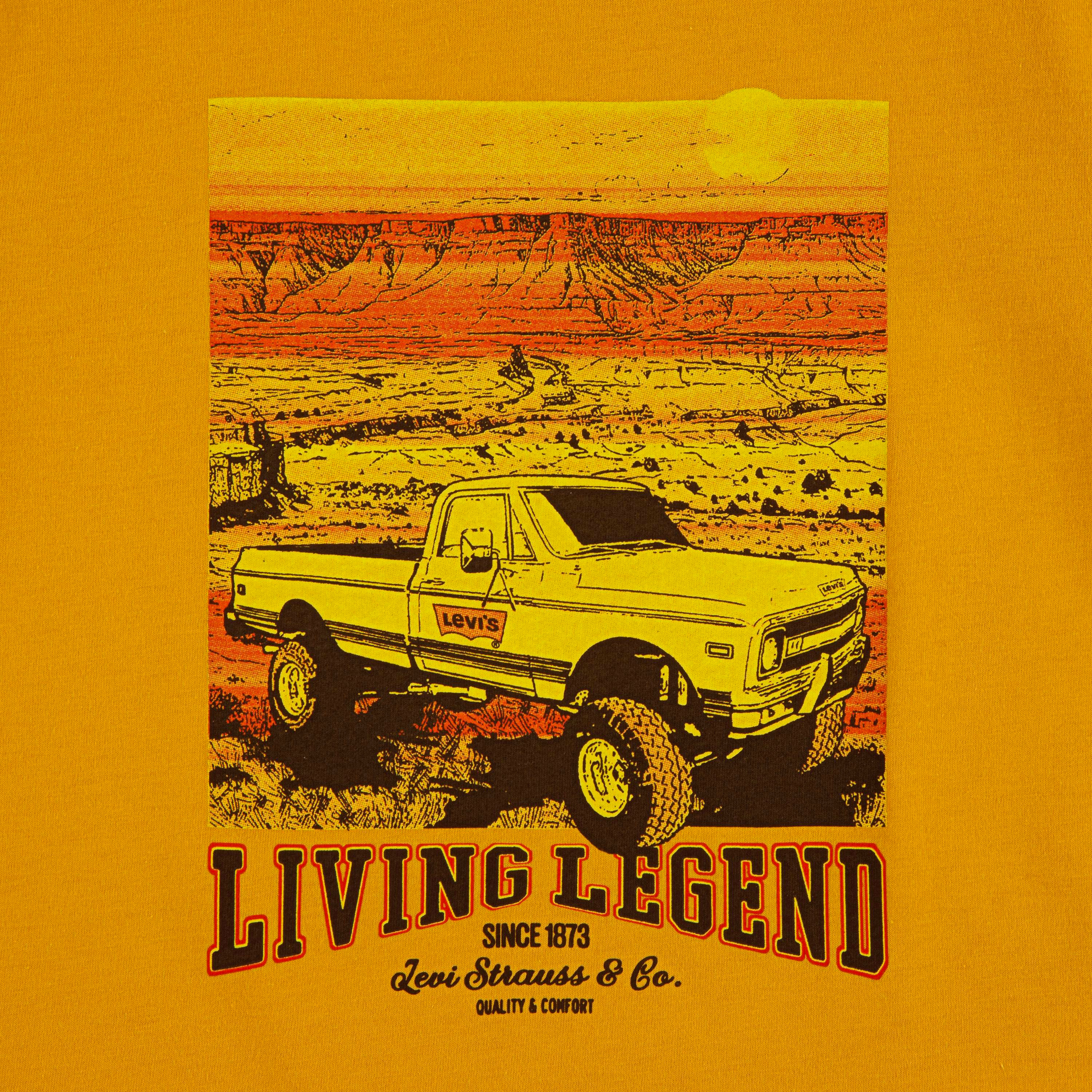 Levi’s Short Sleeves Printed T-Shirt-boys-clothing-tshirtsandpolos-image-3