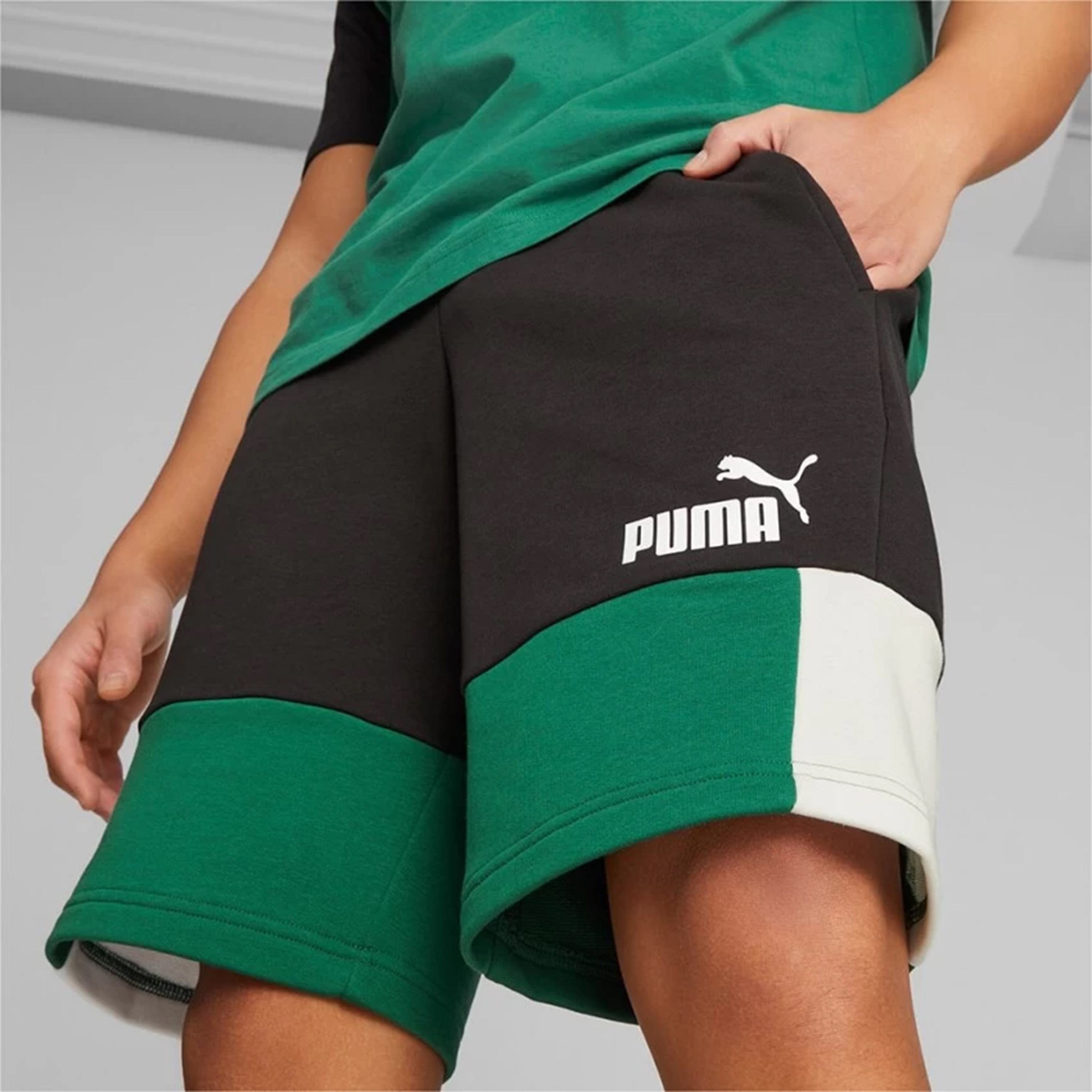 Puma Essential Block Men Shorts 84742937-men-clothing-bottoms-shorts-image-3