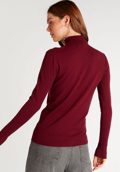 2Xtremz Solid Sweater with Turtle Neck and Long Sleeves-Sweaters-image-3