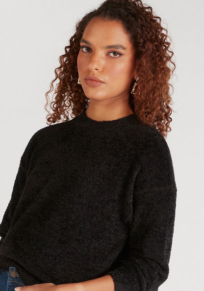 2Xtremz Textured Crew Neck Sweater with Long Sleeves