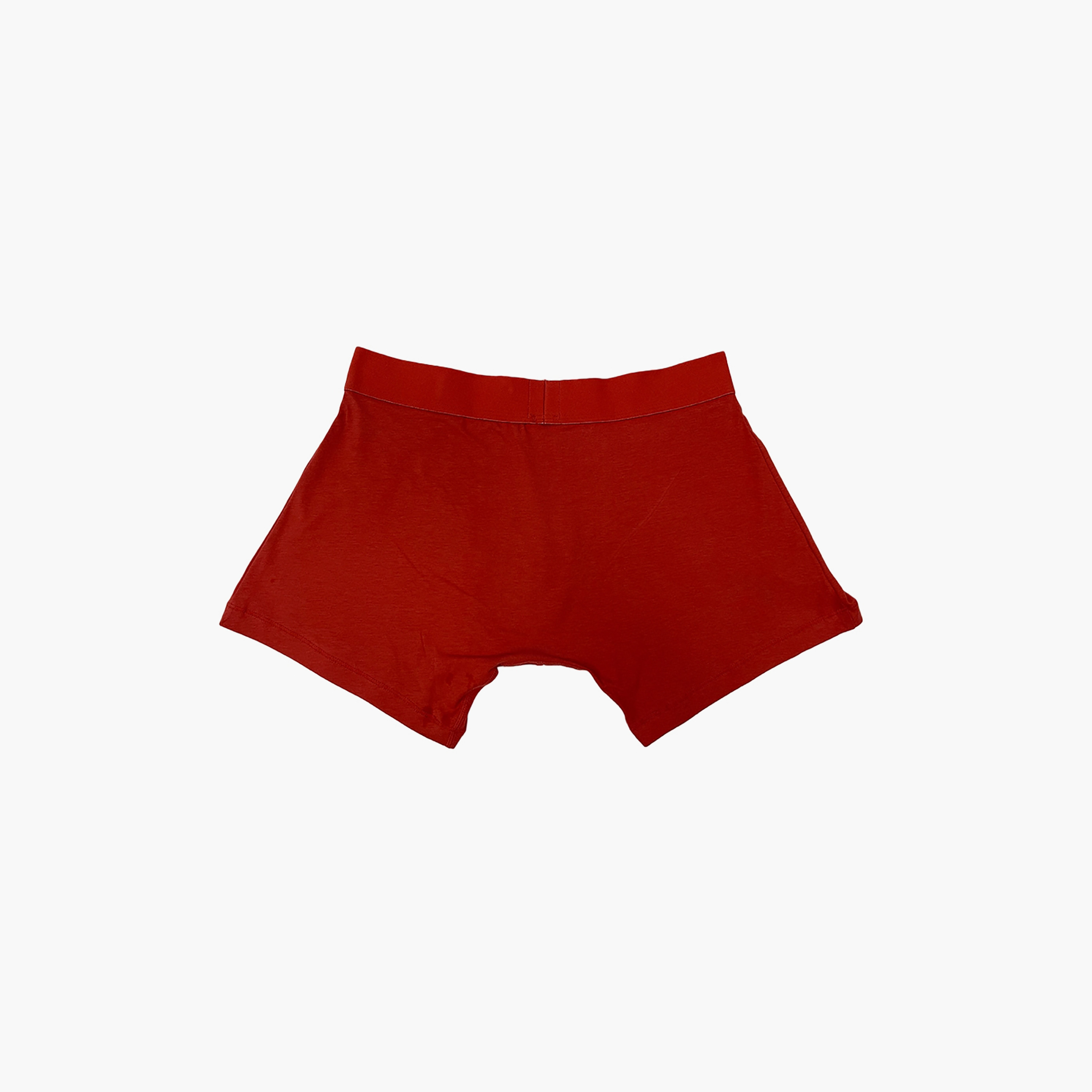 سراويل داخلية للرجال بحزام خصر مطاطي وطباعة العلامة التجارية باللون الأحمر من Levi-men-clothing-innerwear-underwear-image-1