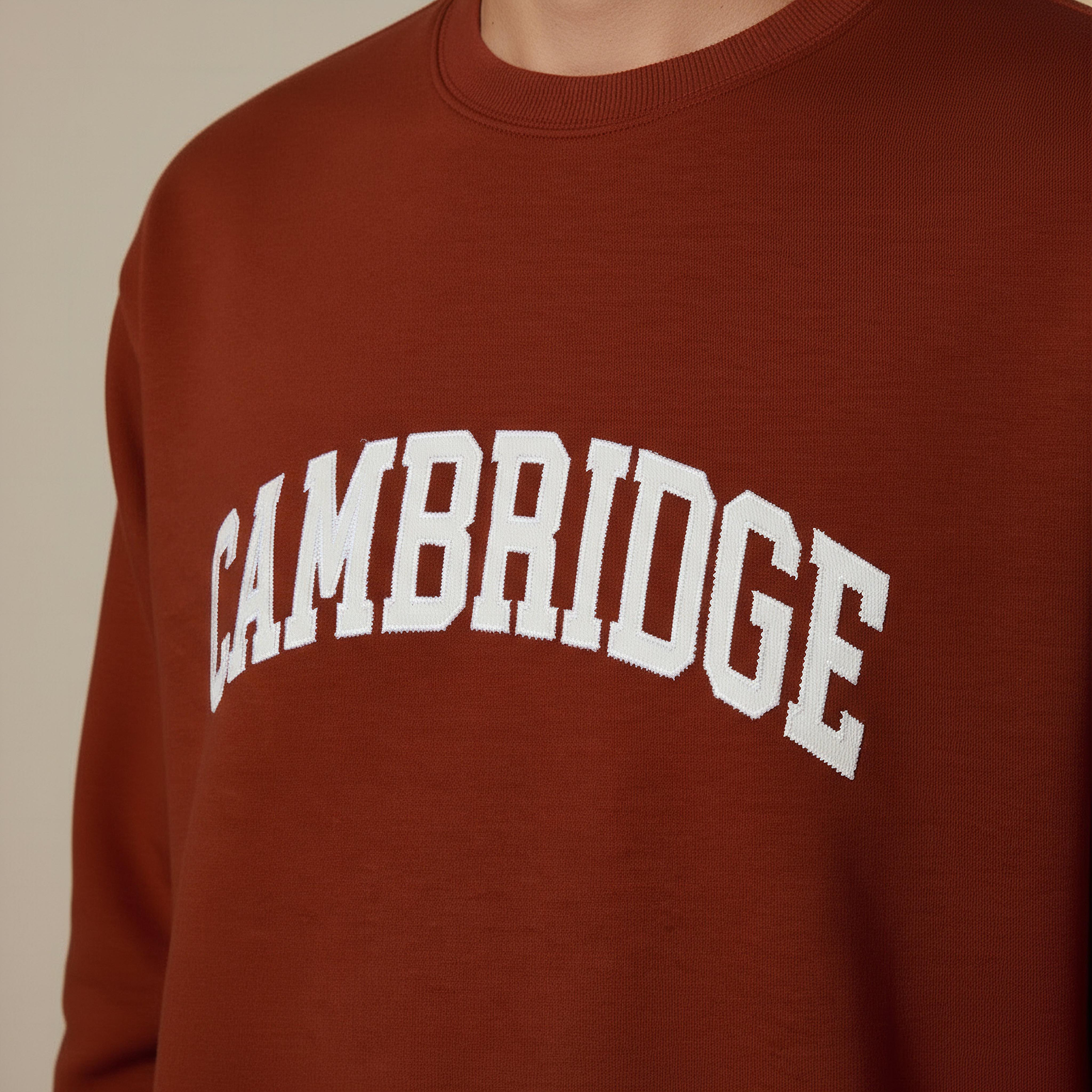 Cambridge University Men Regular Fit Sweatshirt-men-winterwear-hoodiesandsweatshirts-image-4