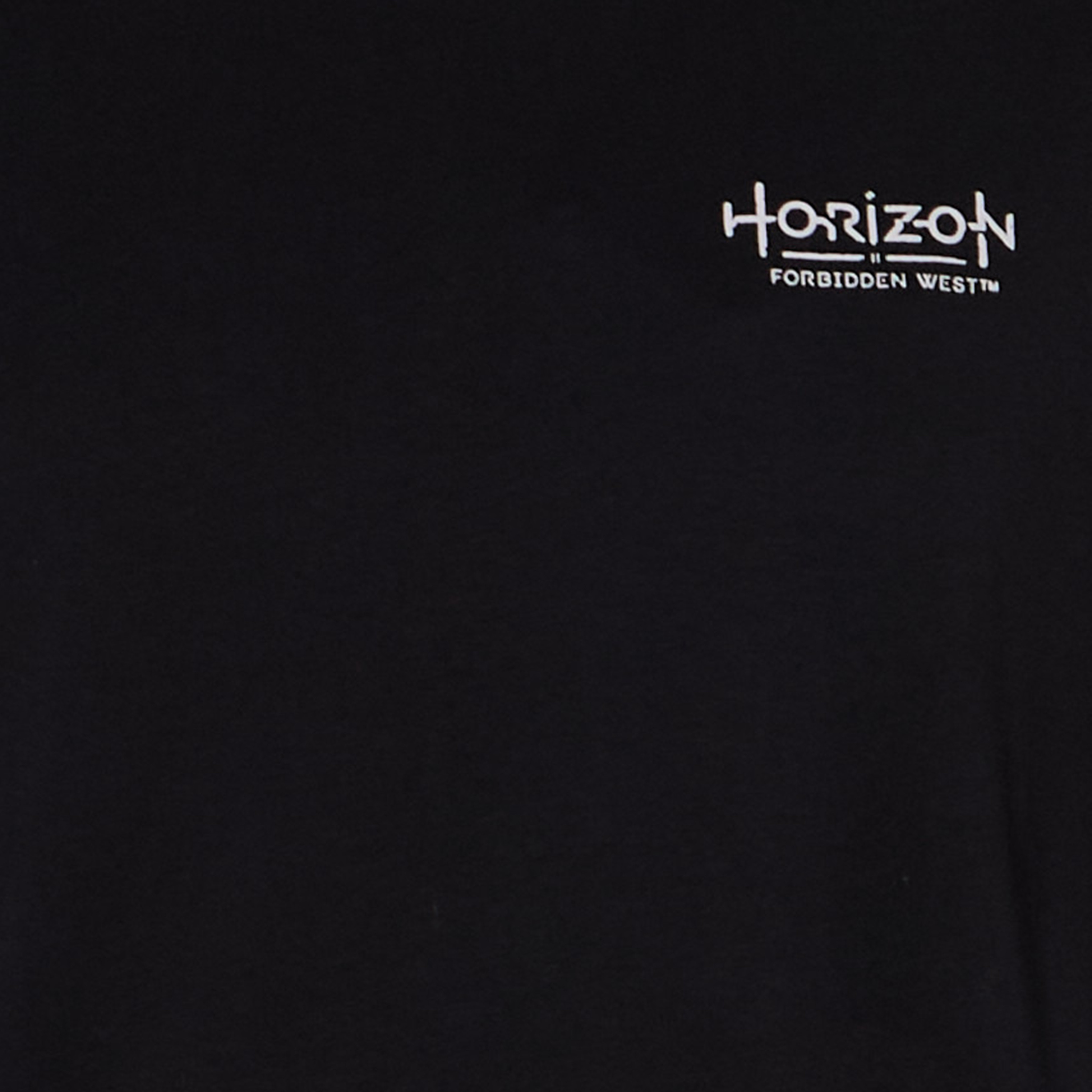 Men Regular Fit Crew Neck Short Sleeves Horizon Forbidden West Print T-shirt-PROMO_SP_QAT_1_BUY2FORQAR59_130625-image-2