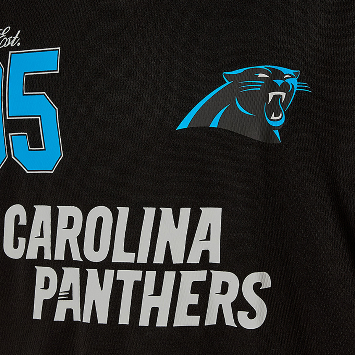 Carolina Panthers Regular Fit V-neck T-shirt-men-clothing-tshirtsandpolos-tshirts-image-5