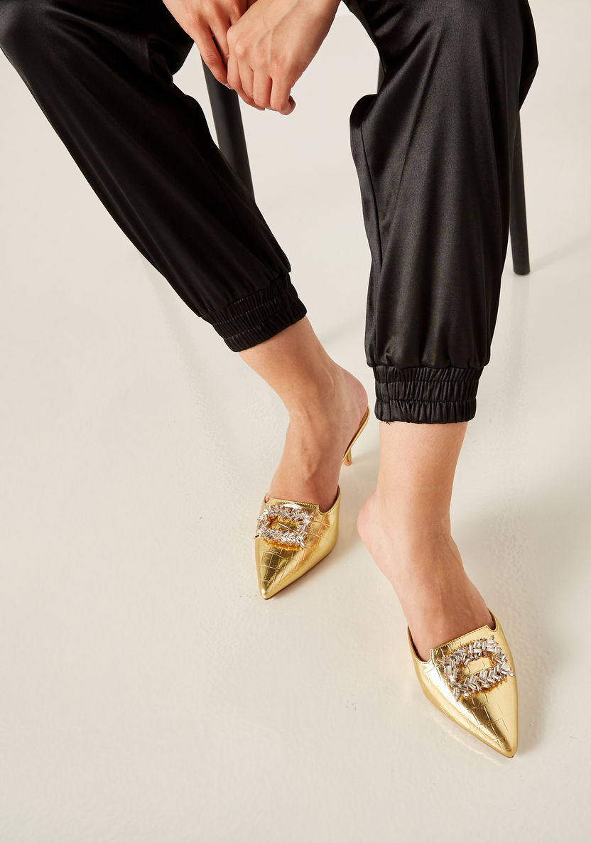 Celeste Women's Embellished Pointed Toe Slip-On Shoes with Kitten Heels-Women%27s Heel Shoes-image-0