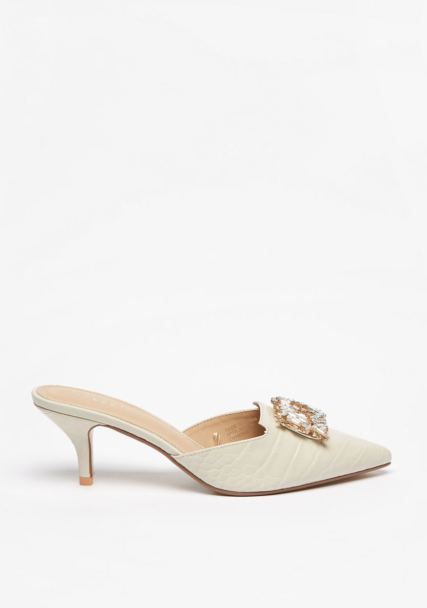 Celeste Women's Embellished Pointed Toe Slip-On Shoes with Kitten Heels-Women%27s Heel Shoes-image-1