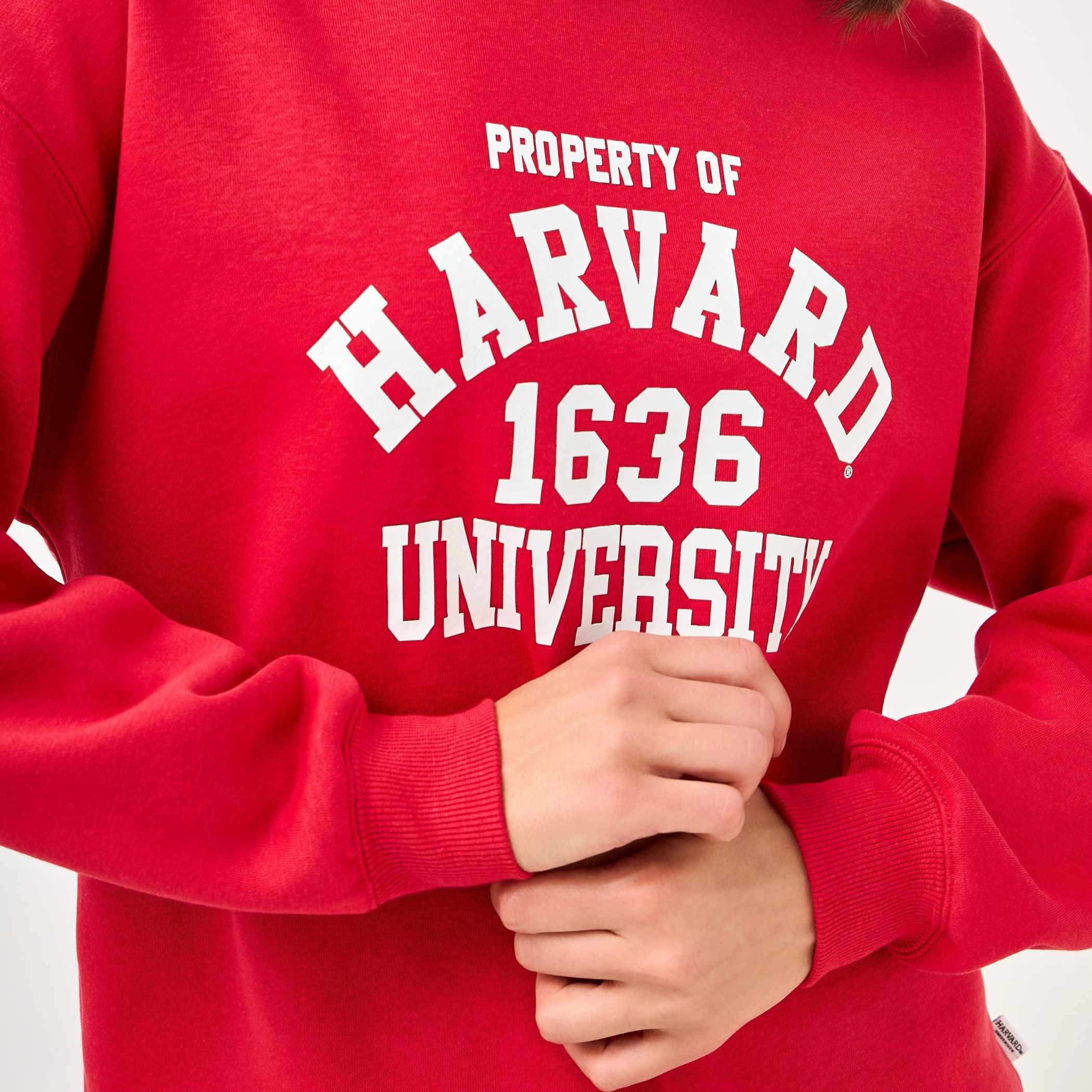Harvard Print Sweatshirt with Crew Neck-women-winterwear-hoodiesandsweatshirts-sweatshirts-image-5