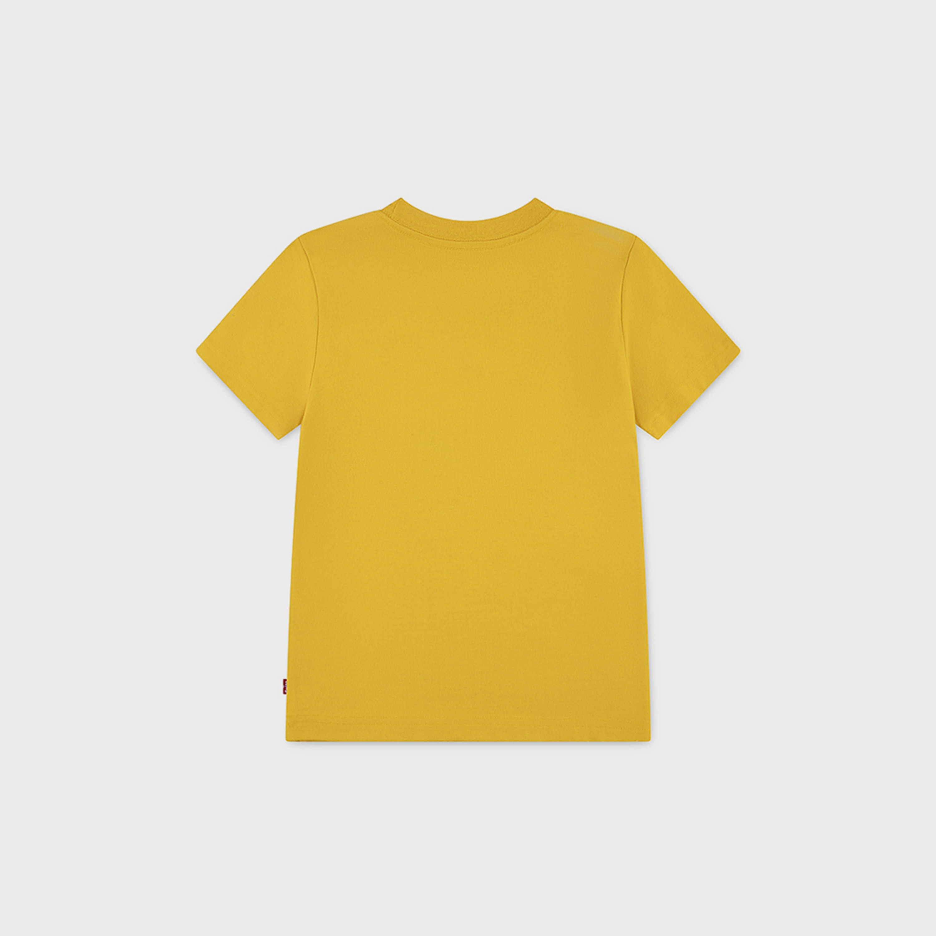 Levi’s Printed Short Sleeves T-Shirt-boys-clothing-tshirtsandpolos-image-2