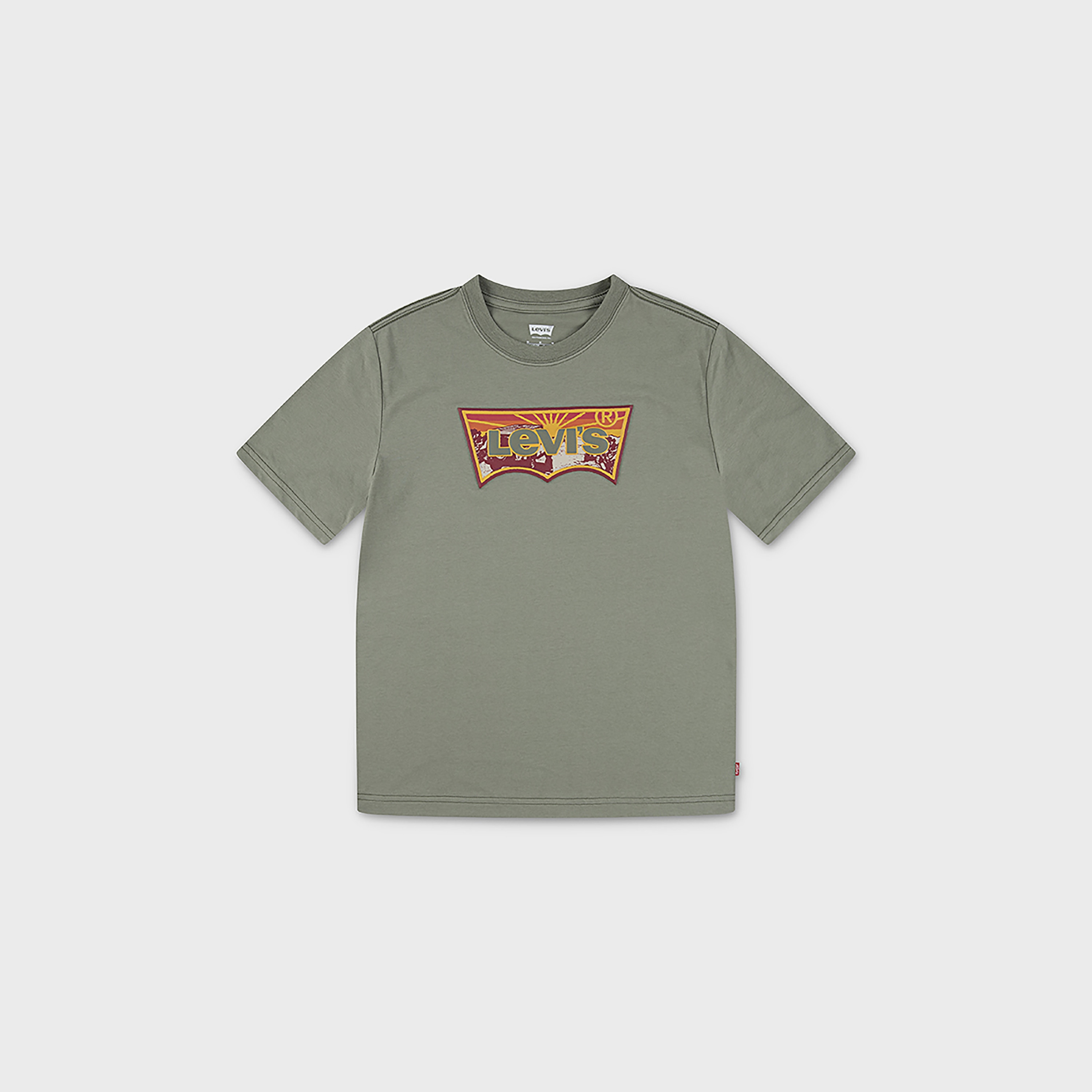 Levi's Sunrise Desert Logo Print Round Neck Short Sleeves T-Shirt-boys-clothing-tshirtsandpolos-image-1
