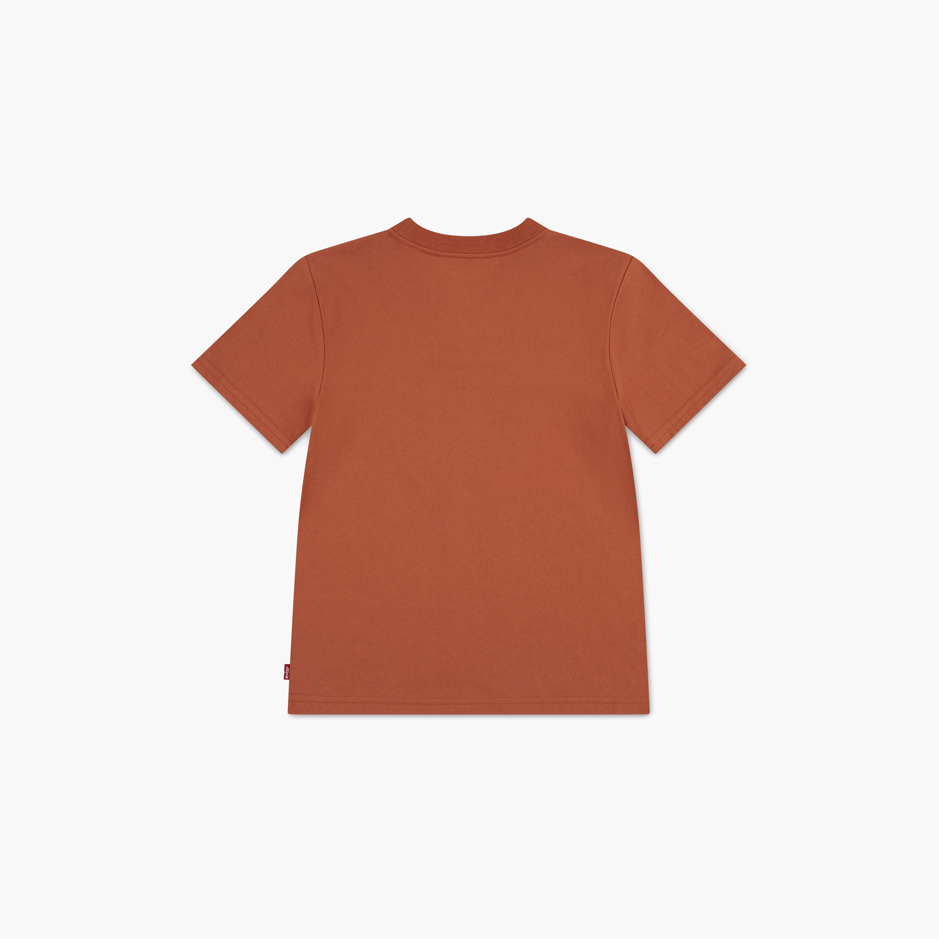 تي شيرت بأكمام قصيرة وطبعة من ليفايس-boys-clothing-tshirtsandpolos-image-2
