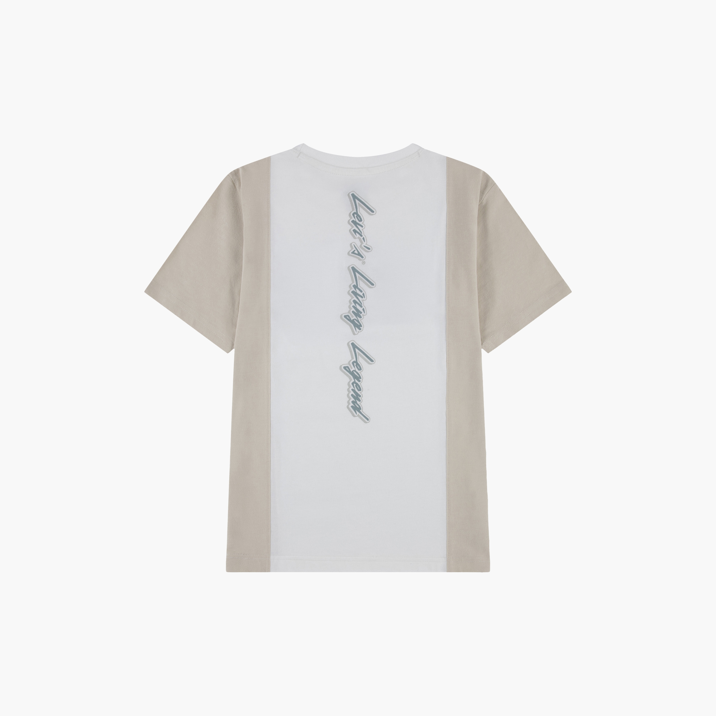 Levi's LVB Fast Lane Graphic T-Shirt-boys-clothing-tshirtsandpolos-image-2