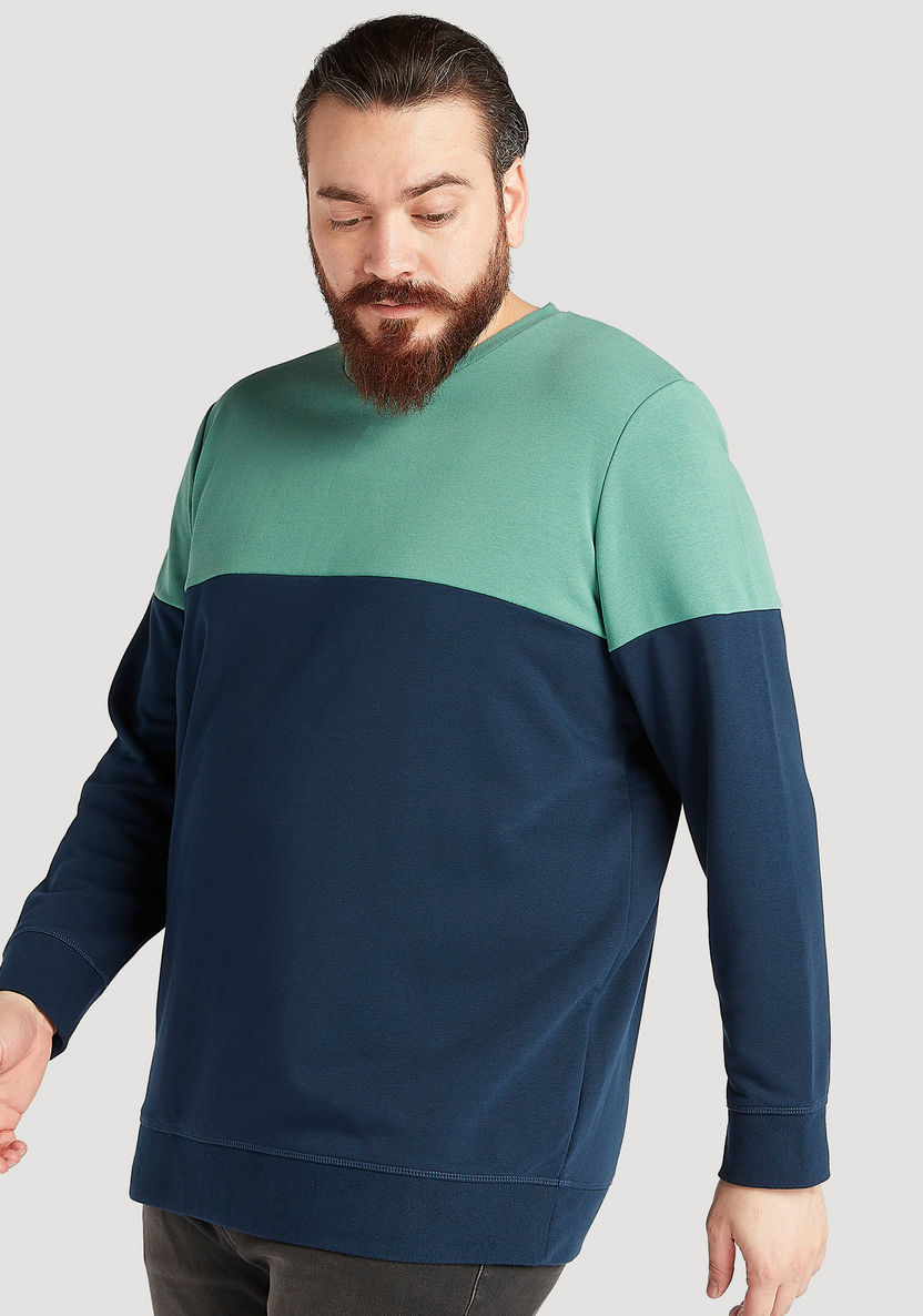 Cut and Sew Sweatshirt with Crew Neck and Long Sleeves-Hoodies and Sweatshirts-image-0