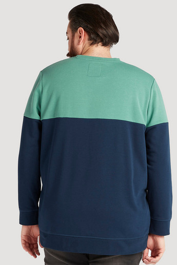 Sustainable Cut and Sew Sweatshirt with Crew Neck and Long Sleeves