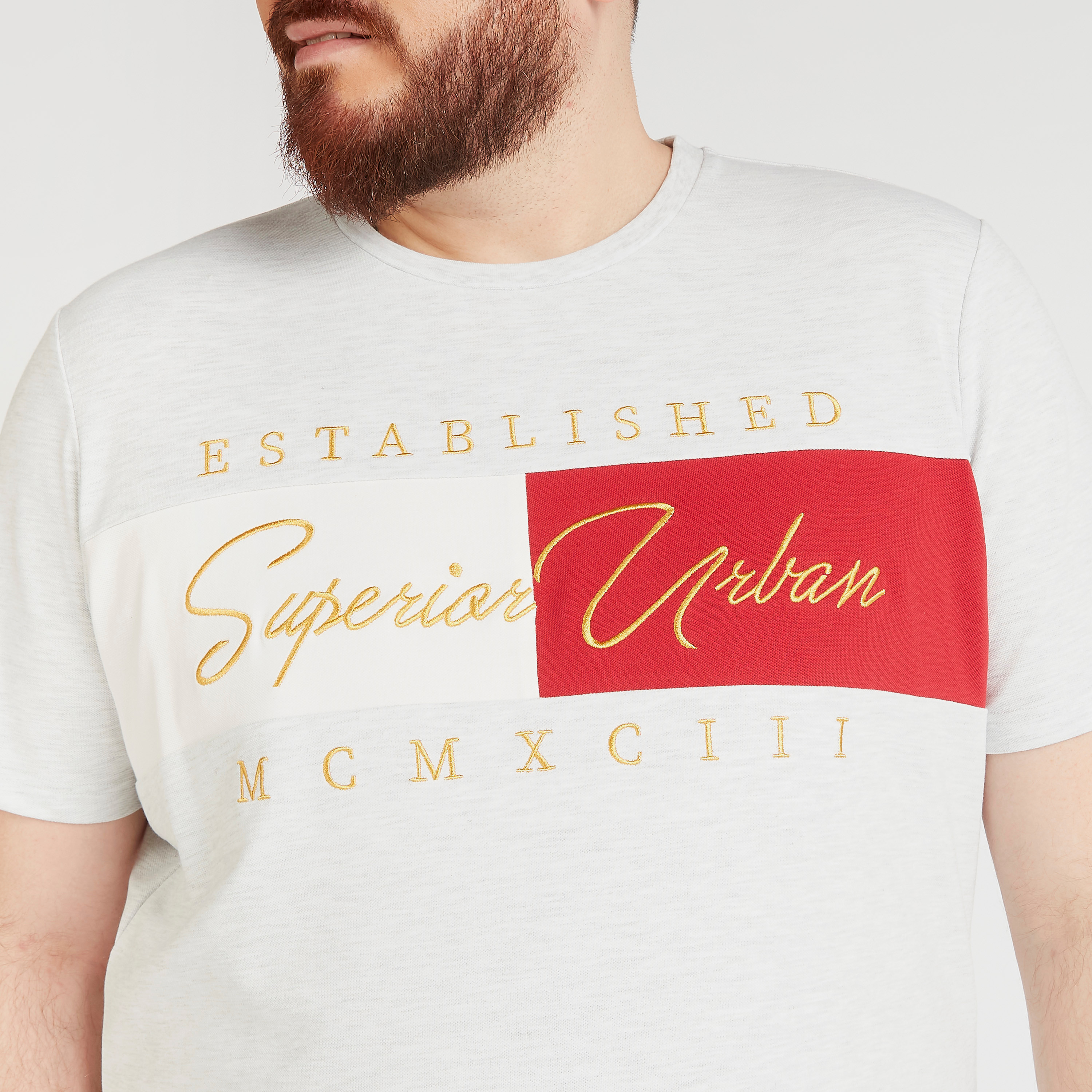 تيشيرت مطرّز بياقة ضيّقة وأكمام قصيرة-men-clothing-tshirtsandpolos-tshirts-image-3