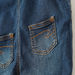 Lee Cooper Denim Dungarees with Pockets and Button Closure-Rompers%2C Dungarees and Jumpsuits-thumbnail-3