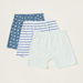 Love Earth Printed Organic Boxer Briefs with Elasticised Waistband - Set of 3-Boxers and Briefs-thumbnail-0