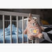 Tommee Tippee Bennie the Bear Light and Sound Sleep Aid-Babyproofing Accessories-thumbnail-4