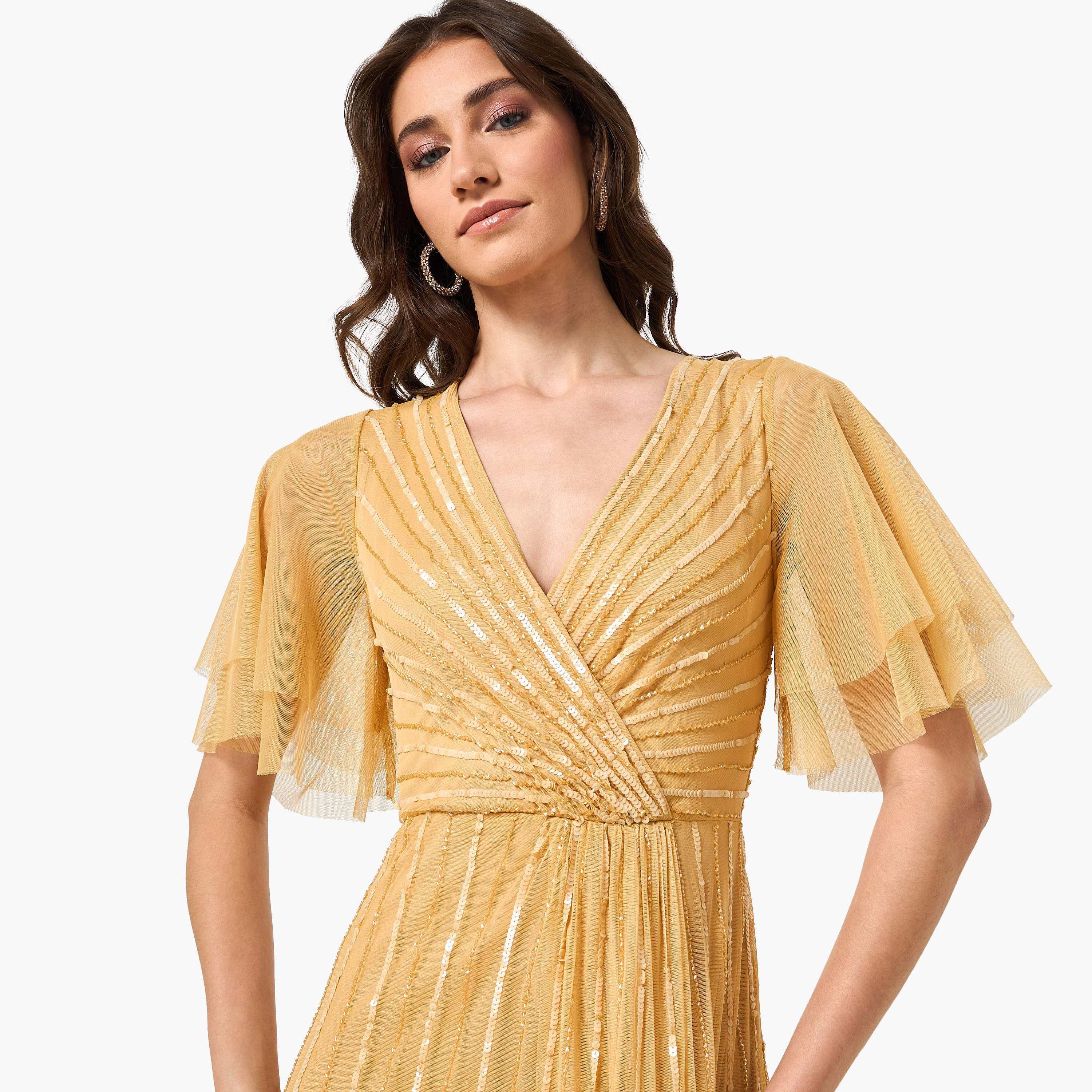 Amelia Rose Sequined Sheer Surplice Neck Flutter Sleeves Fit & Flared Women's Evening Maxi Dress-women-clothing-dresses-image-15