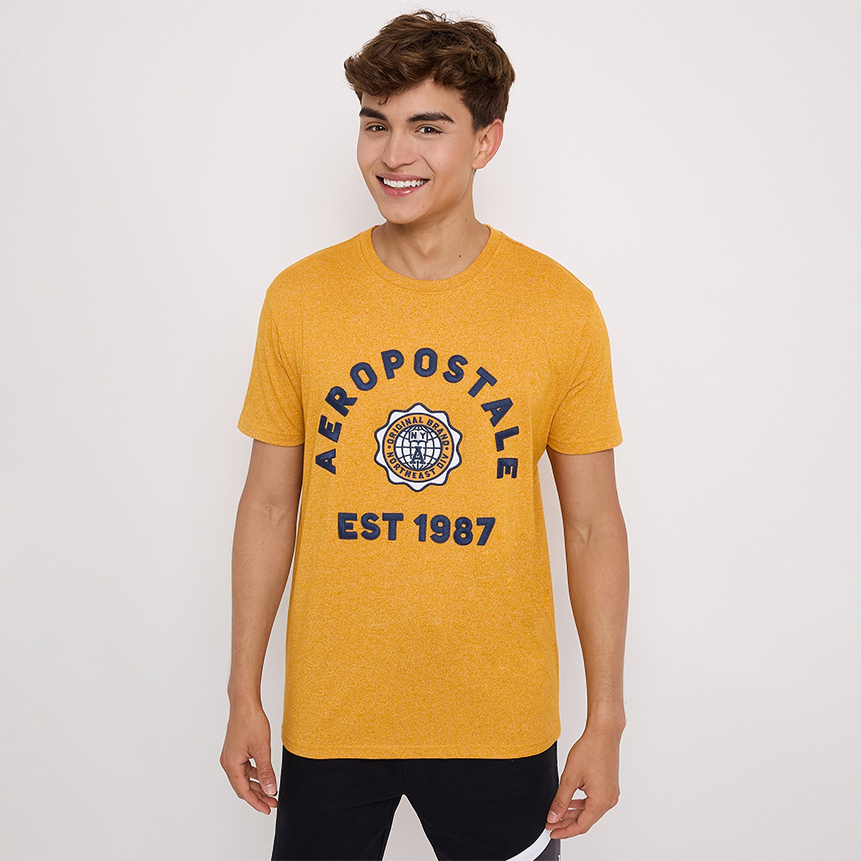 تي شيرت للرجال بأكمام قصيرة ورقبة دائرية مطرزة بشعار من أيروبوستال-men-clothing-tshirtsandpolos-tshirts-image-1