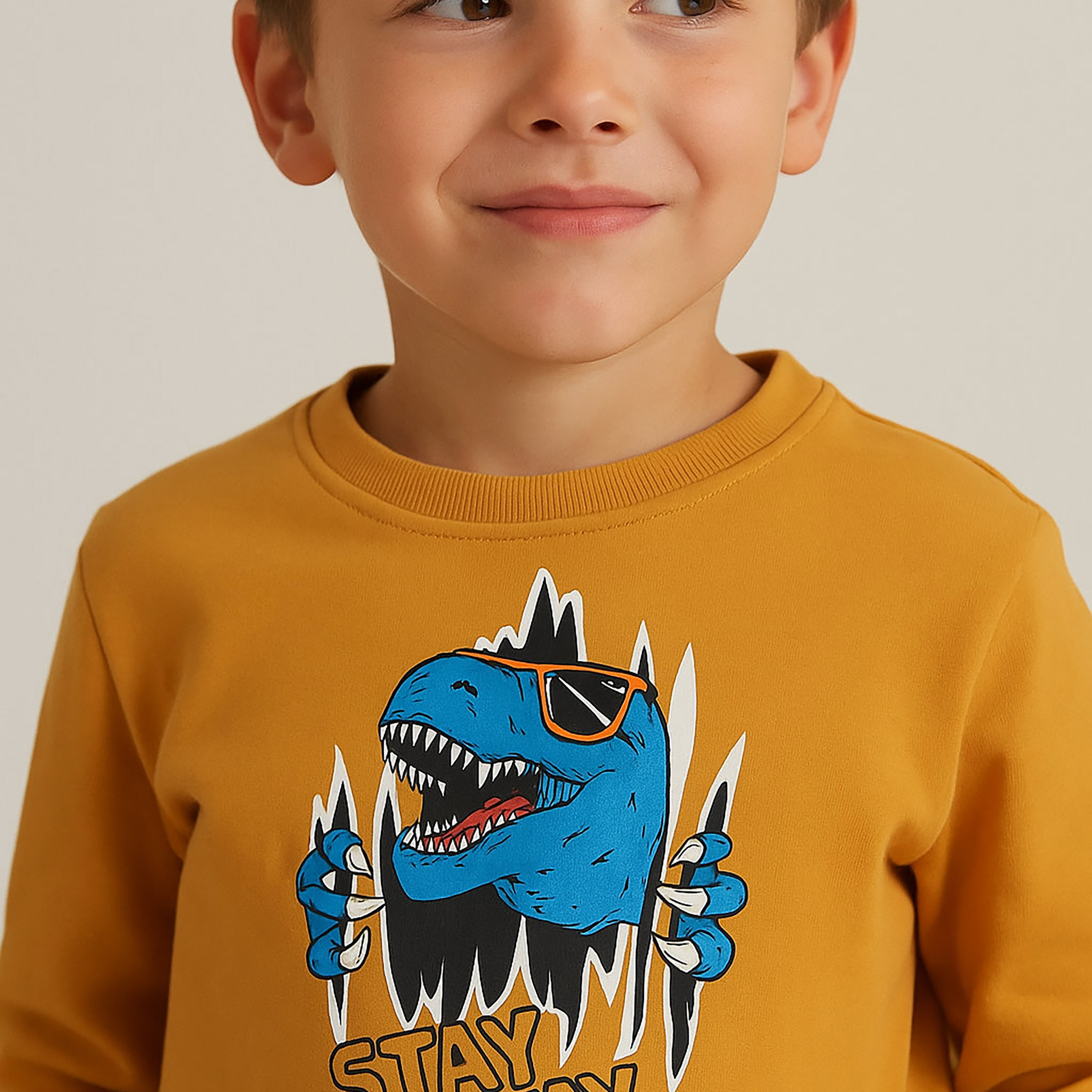 Victor and Jane Stay Away Dino Printed Sweatshirt-boys-clothing-sweatshirts-image-4
