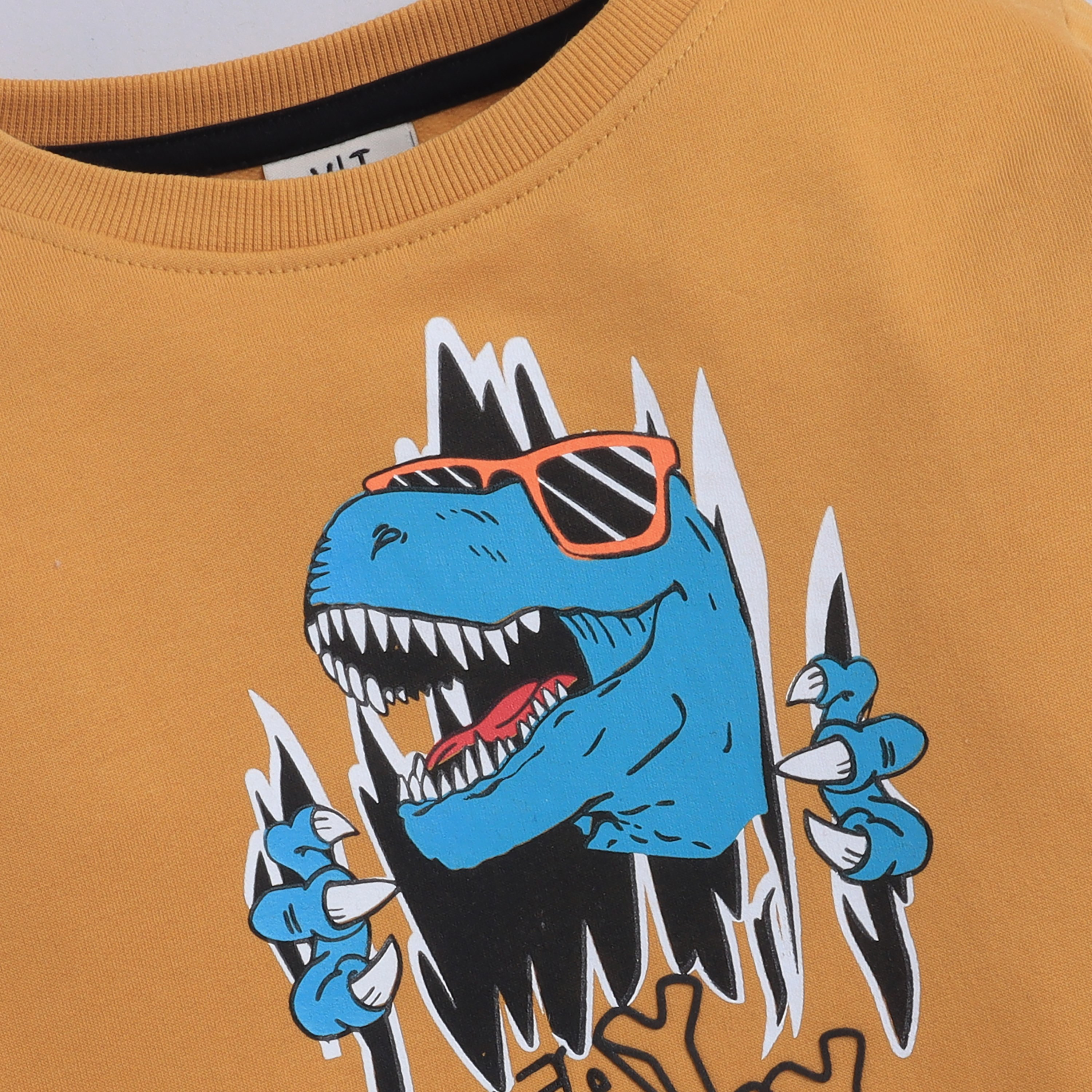 Victor and Jane Stay Away Dino Printed Sweatshirt-boys-clothing-sweatshirts-image-6