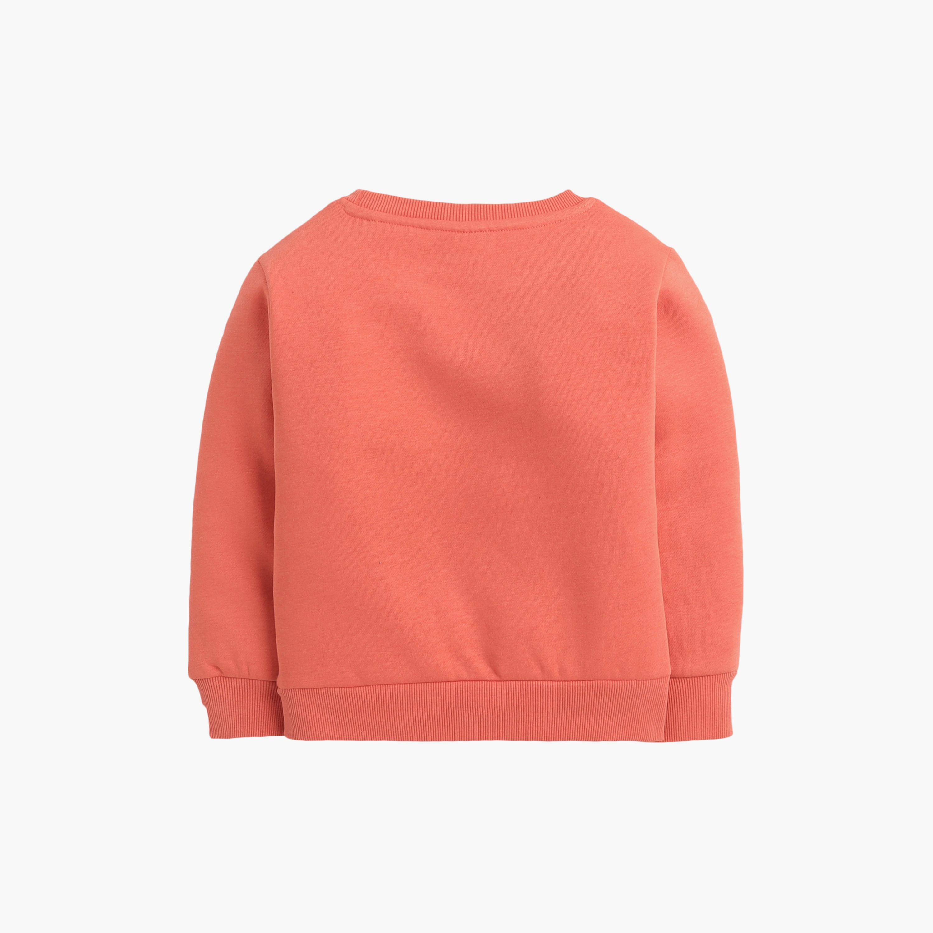 سويت شيرت بطبعة سكيت أول داي من فيكتور اند جين-boys-clothing-sweatshirts-image-4