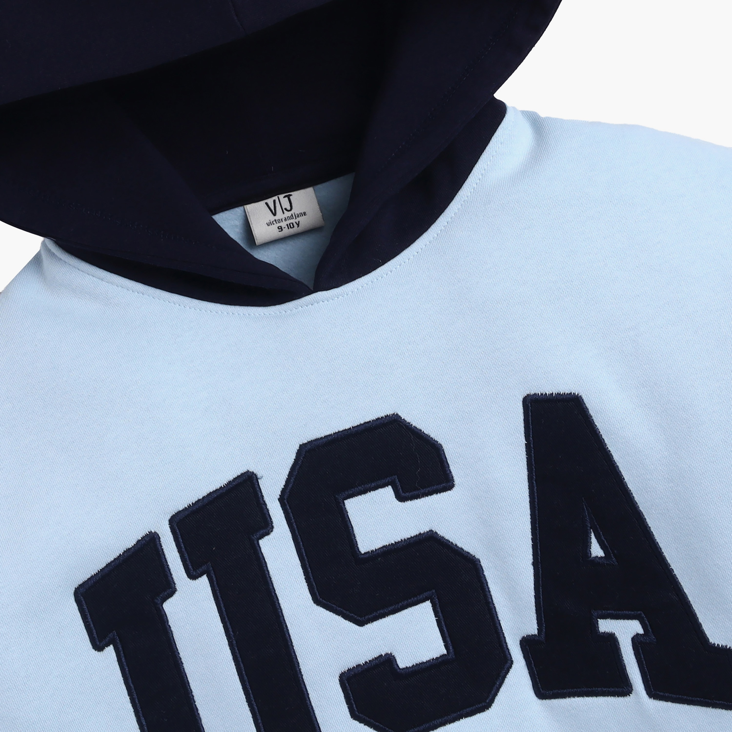 Victor and Jane USA (embroidered) Printed Hoodie-boys-clothing-winterwear-sweatshirts-image-5