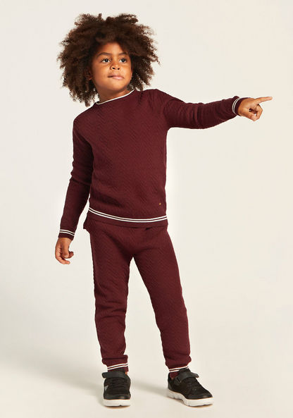 Textured Pullover and Jog Pants Set-Clothes Sets-image-1