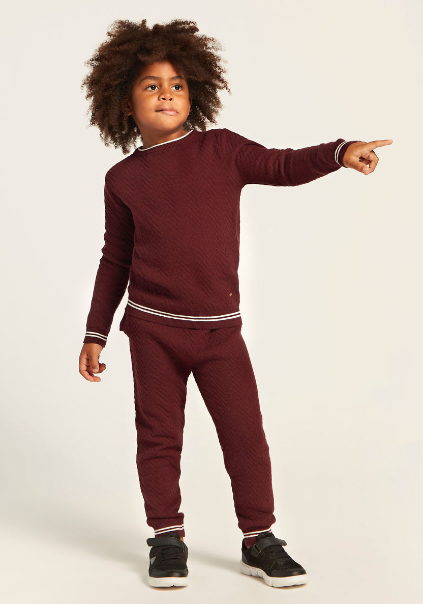 Textured Pullover and Jog Pants Set-Clothes Sets-image-1