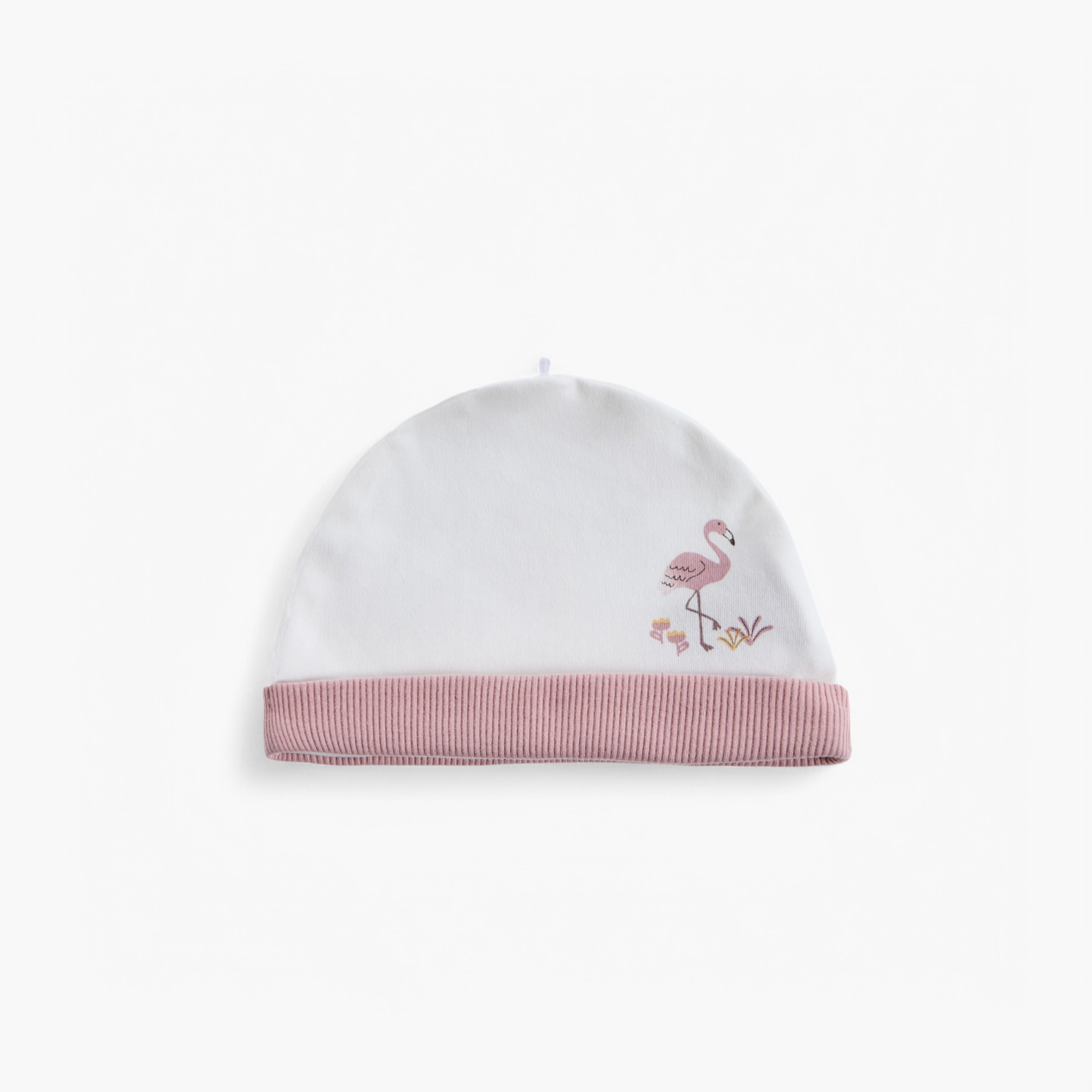 Juniors Animal Print Cap - Set of 2-baby-girls-accessories-caps-image-3