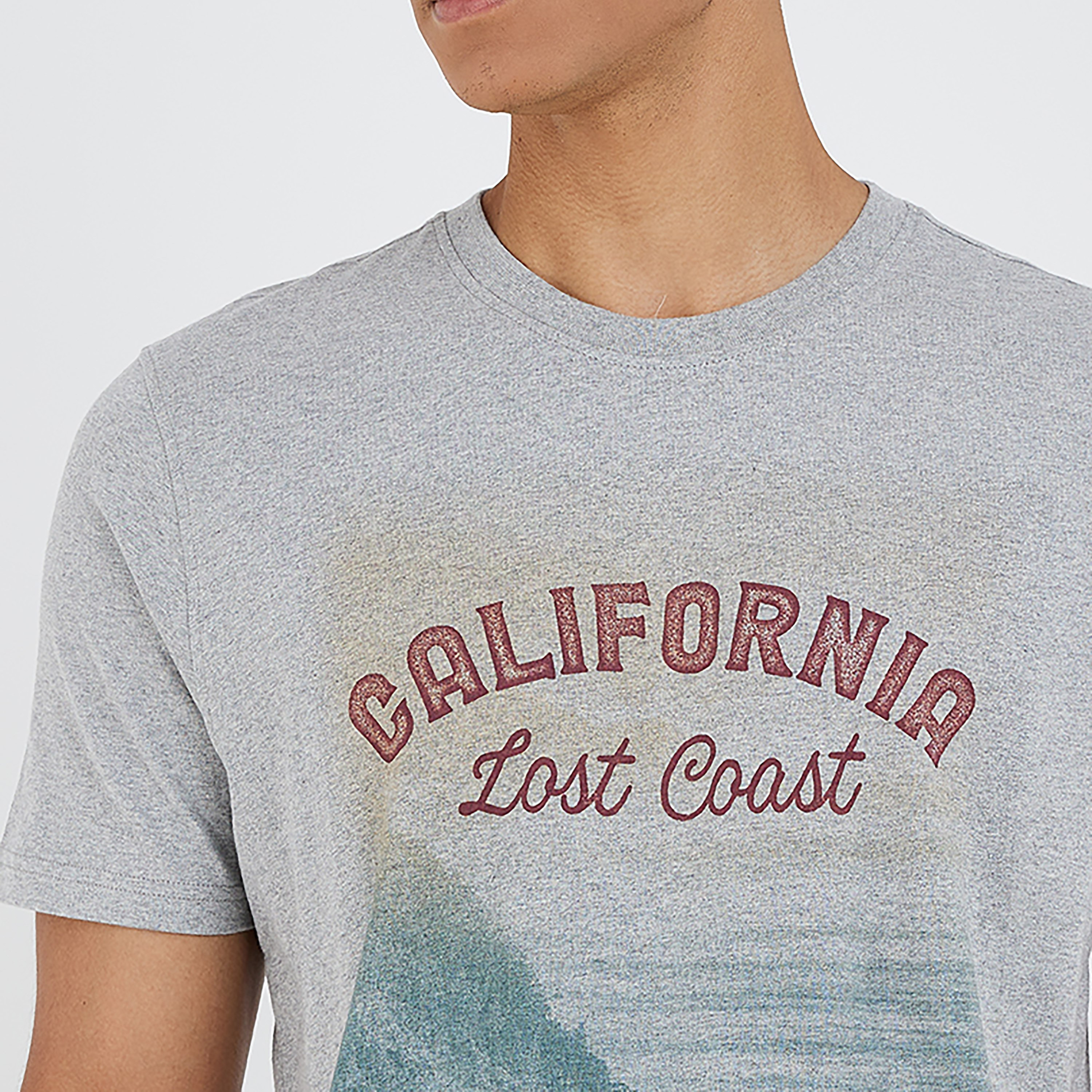 تي شيرت بيفرلي هيلز بولو كلوب بياقة مستديرة وأكمام قصيرة مع جرافيك-men-clothing-tshirtsandpolos-tshirts-image-7
