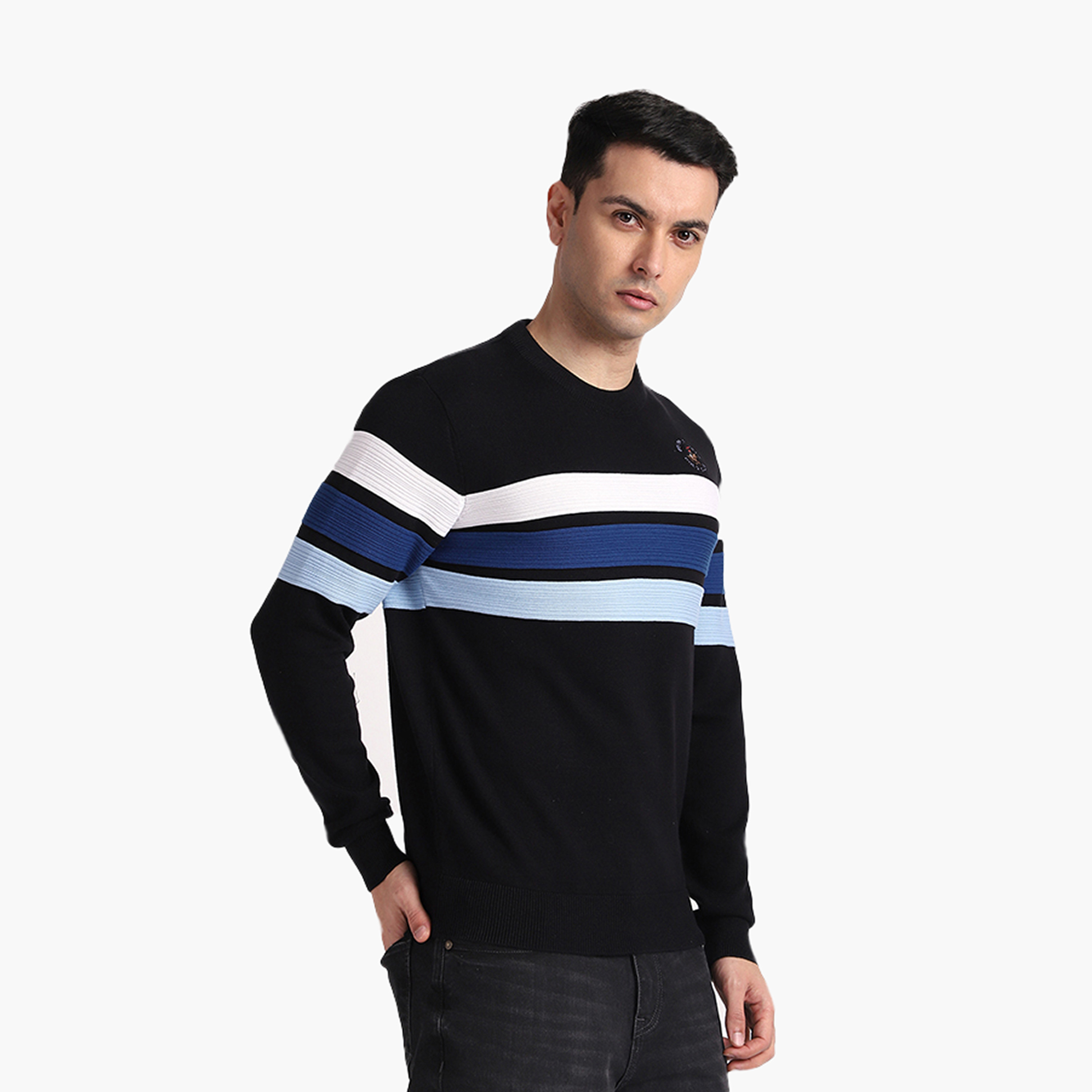 بلوفر رجالي مخطط بياقة دائرية وأكمام طويلة من بيفرلي هيلز بولو كلوب-men-clothing-sweatersandpullovers-image-3