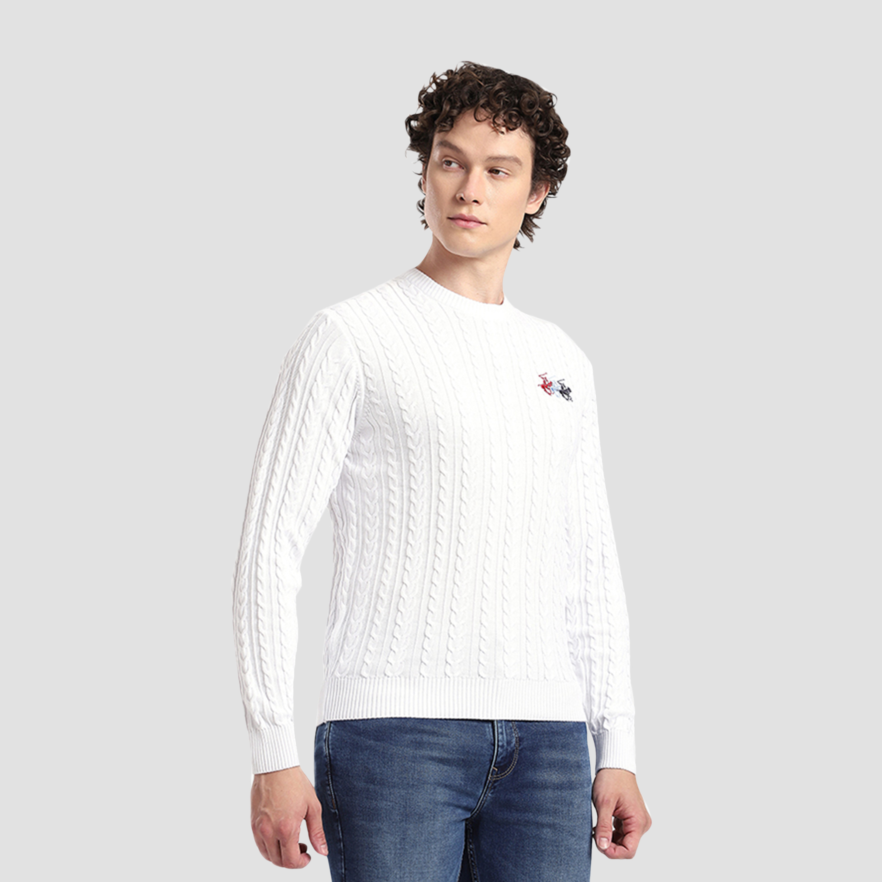 Beverly Hills Polo Club Cable Knit Round Neck Long Sleeves Men's Sweater-men-clothing-sweatersandpullovers-image-7