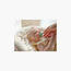 عبوة من 2 لهاية أطفال من بتصميم تقويمي، 0-3 أشهر من مام-baby-feeding-pacifiers-image-4
