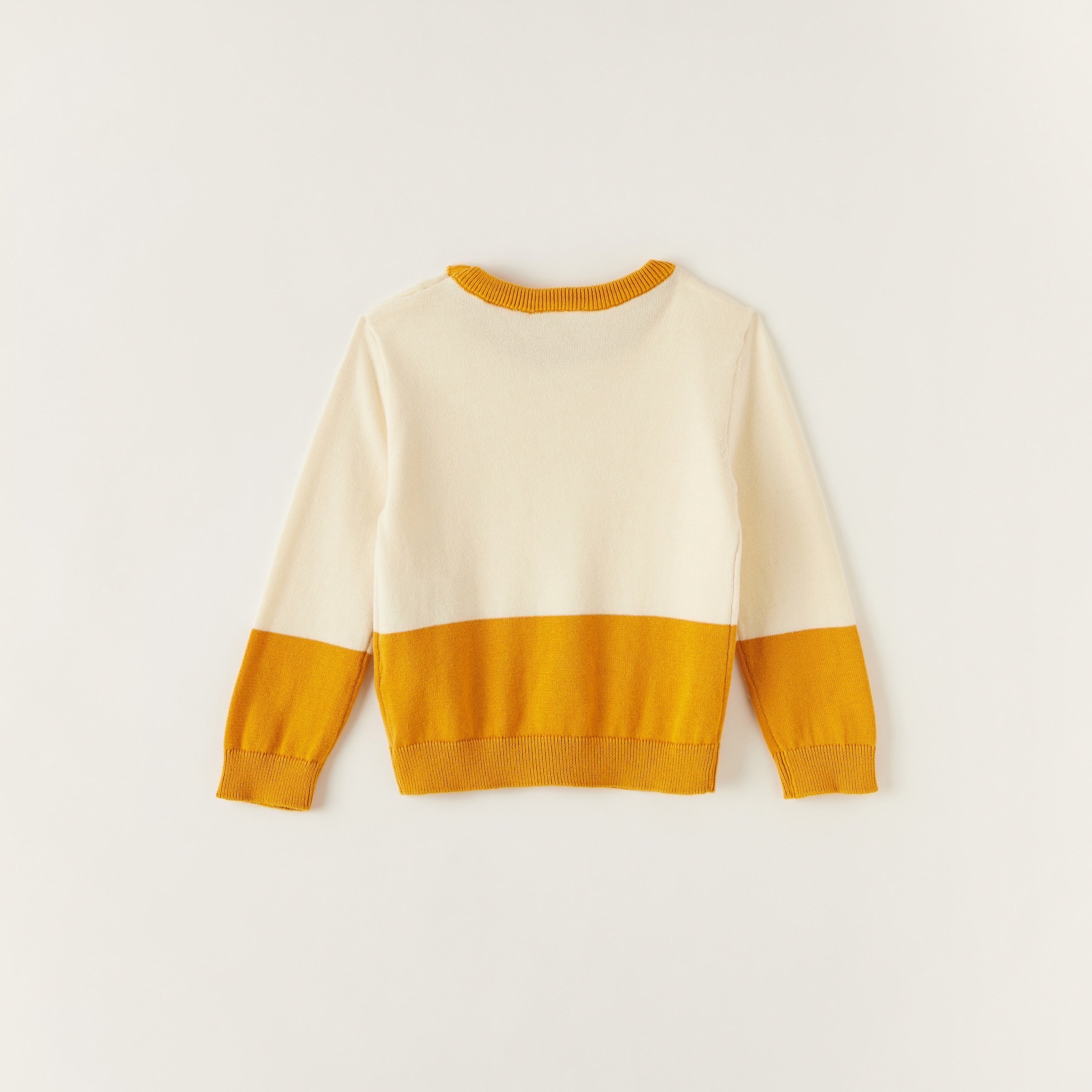 Juniors Colourblock Pullover with Long Sleeves-baby-boys-clothing-winterwear-jumpersandcardigans-image-4