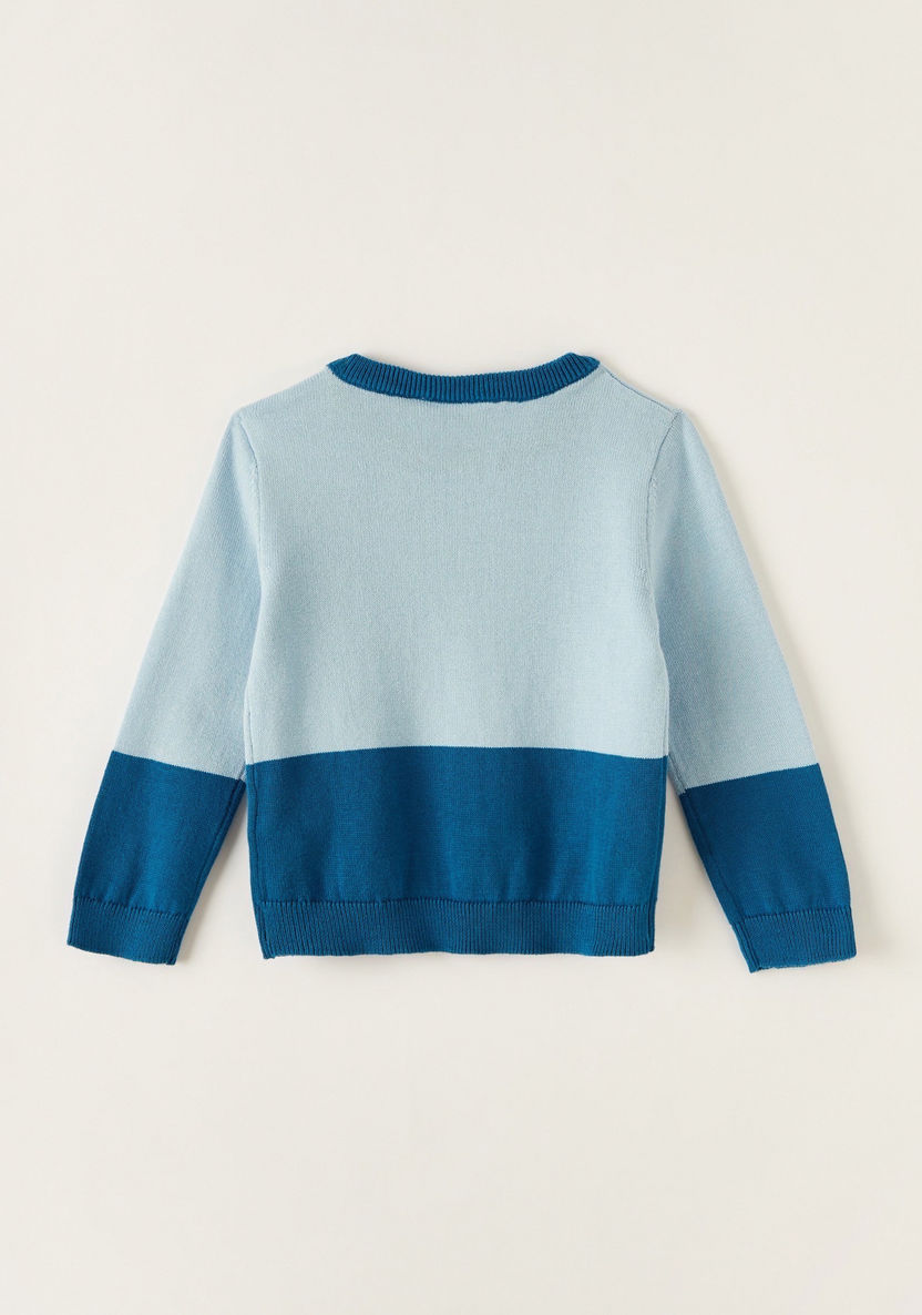 Juniors Panelled Pullover with Long Sleeves-Sweaters and Cardigans-image-3