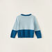 Juniors Panelled Pullover with Long Sleeves-Sweaters and Cardigans-thumbnail-3