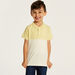 Juniors Colourblock Polo T-shirt with Short Sleeves and Button Closure-T Shirts-thumbnail-2