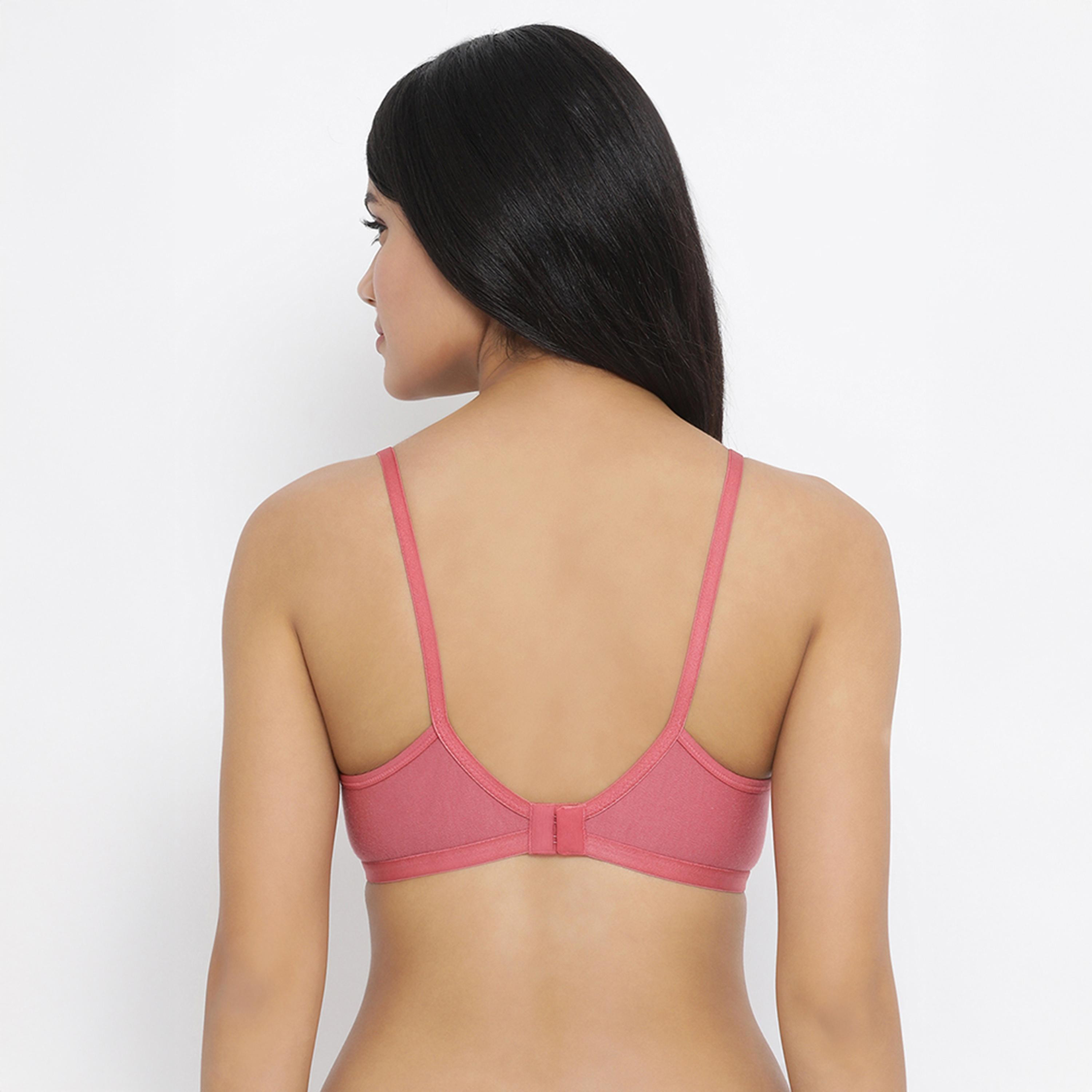 Clovia Pack of 2 Smoothie Non-Padded Non-Wired Full Coverage Women's Bra in Dusty Pink | Powedered Blue - Cotton Rich-women-clothing-lingerie-bras-image-8