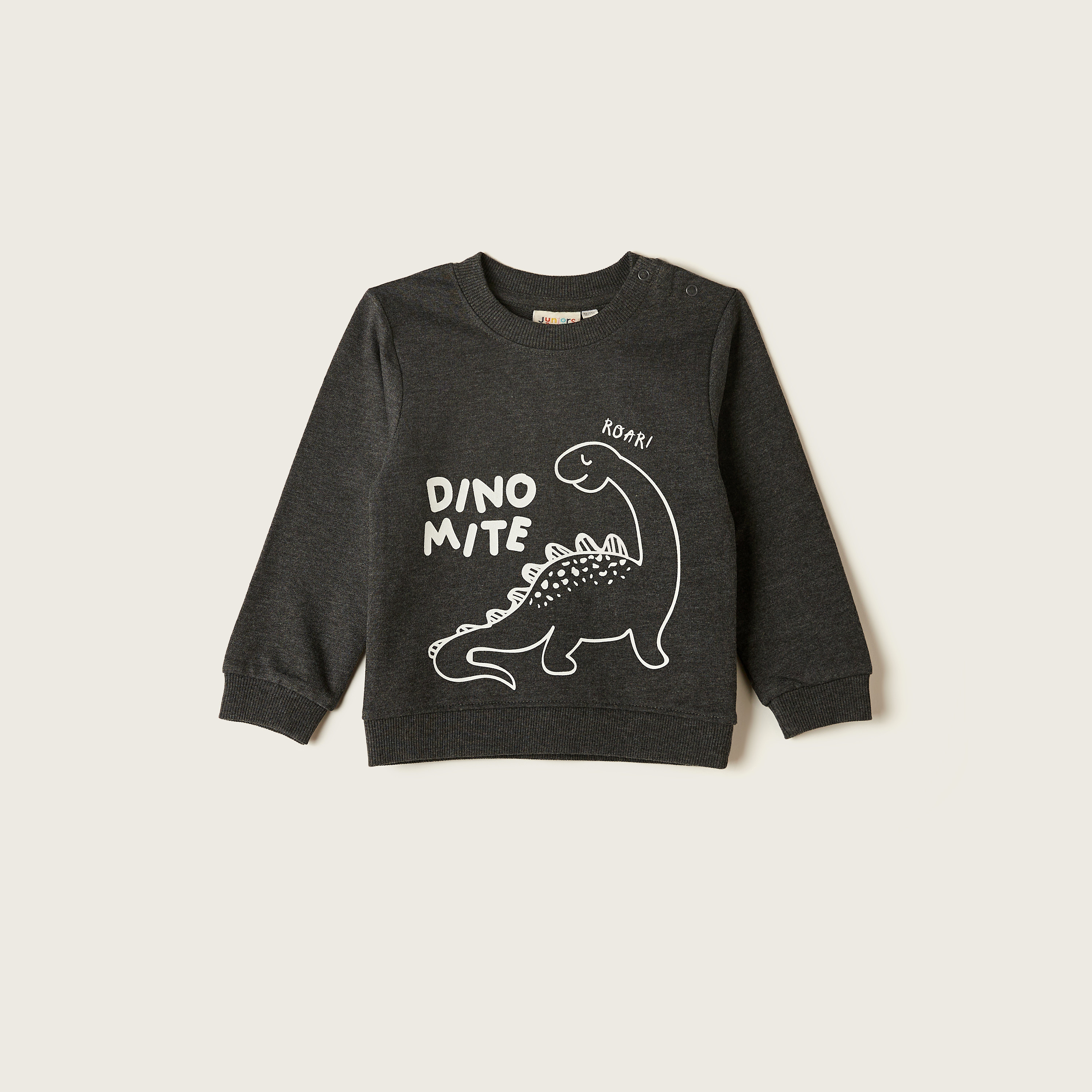 Juniors Dinosaur Print Sweatshirt with Crew Neck and Long Sleeves-baby-boys-clothing-winterwear-jumpersandcardigans-image-1