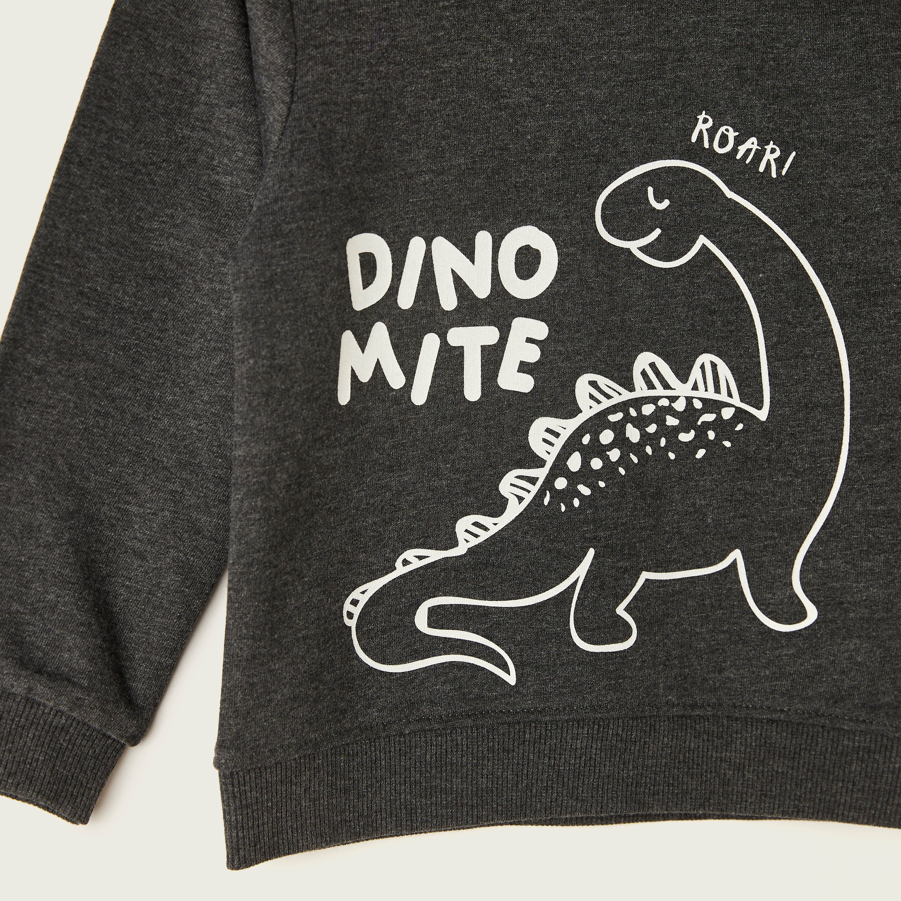 Juniors Dinosaur Print Sweatshirt with Crew Neck and Long Sleeves-baby-boys-clothing-winterwear-jumpersandcardigans-image-2