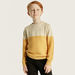 Juniors Colourblock Pullover with Long Sleeves-Sweaters and Cardigans-thumbnail-1
