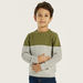 Juniors Colourblock Pullover with Crew Neck and Long Sleeves-Sweaters and Cardigans-thumbnailMobile-1