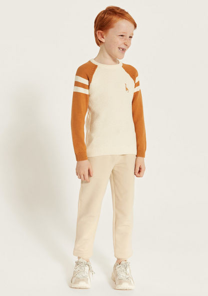 Juniors Textured Pullover with Crew Neck and Raglan Sleeves-Sweaters and Cardigans-image-0